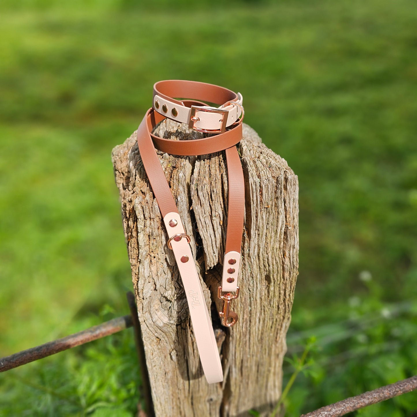 Brown & Powder Pearl - Waterproof BioThane© Dog Lead