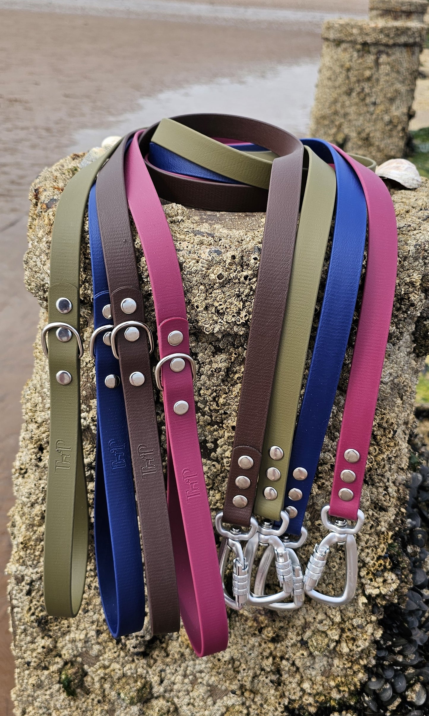 Amethyst - Everlast Waterproof BioThane© Dog Lead