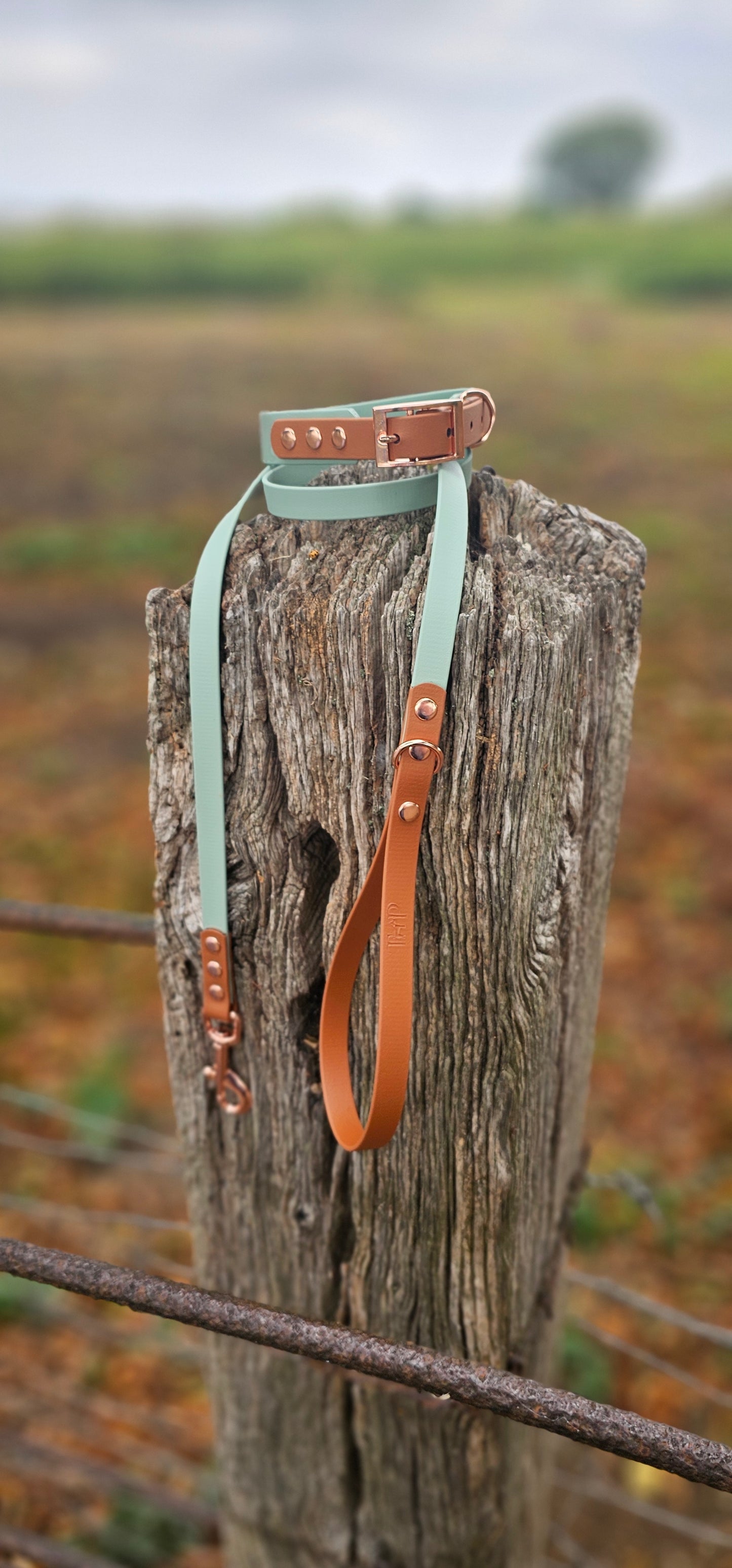 Sage & Tan - Waterproof BioThane© Dog Lead