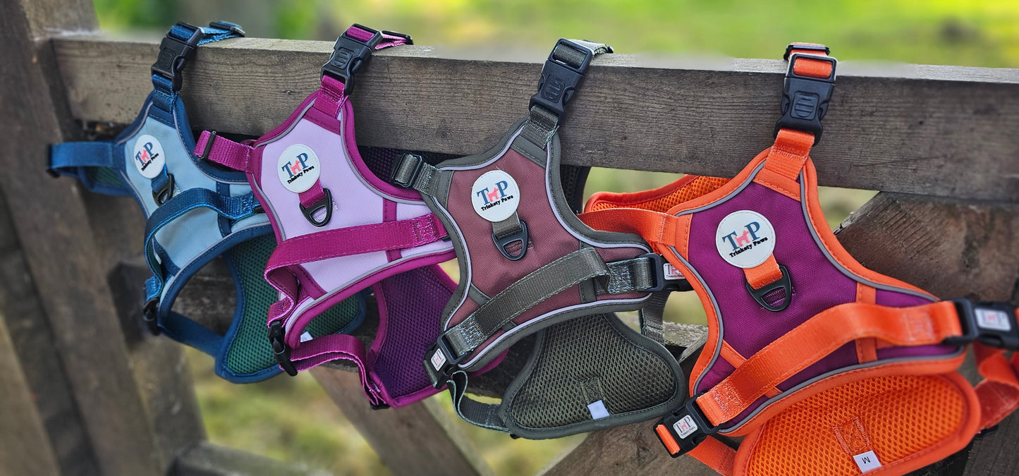 Seaborne - EasyFit™ Dog Harness