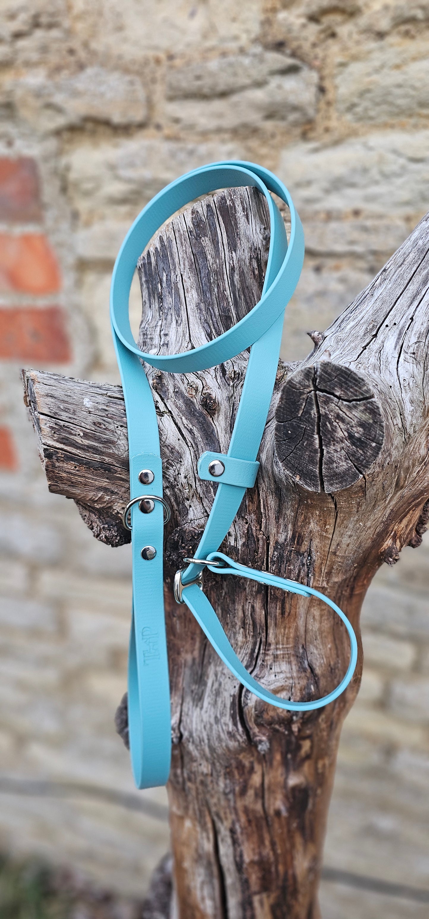 Duckegg - Waterproof BioThane® Dog Slip Lead