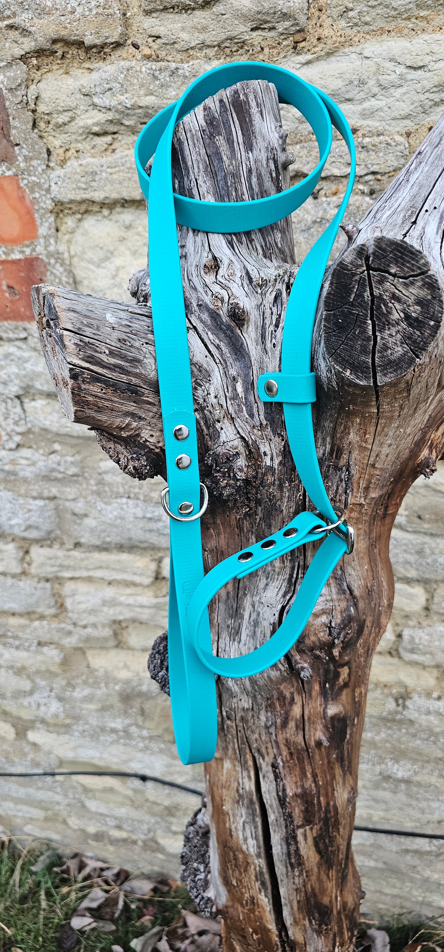 Teal - Waterproof BioThane® Dog Slip Lead