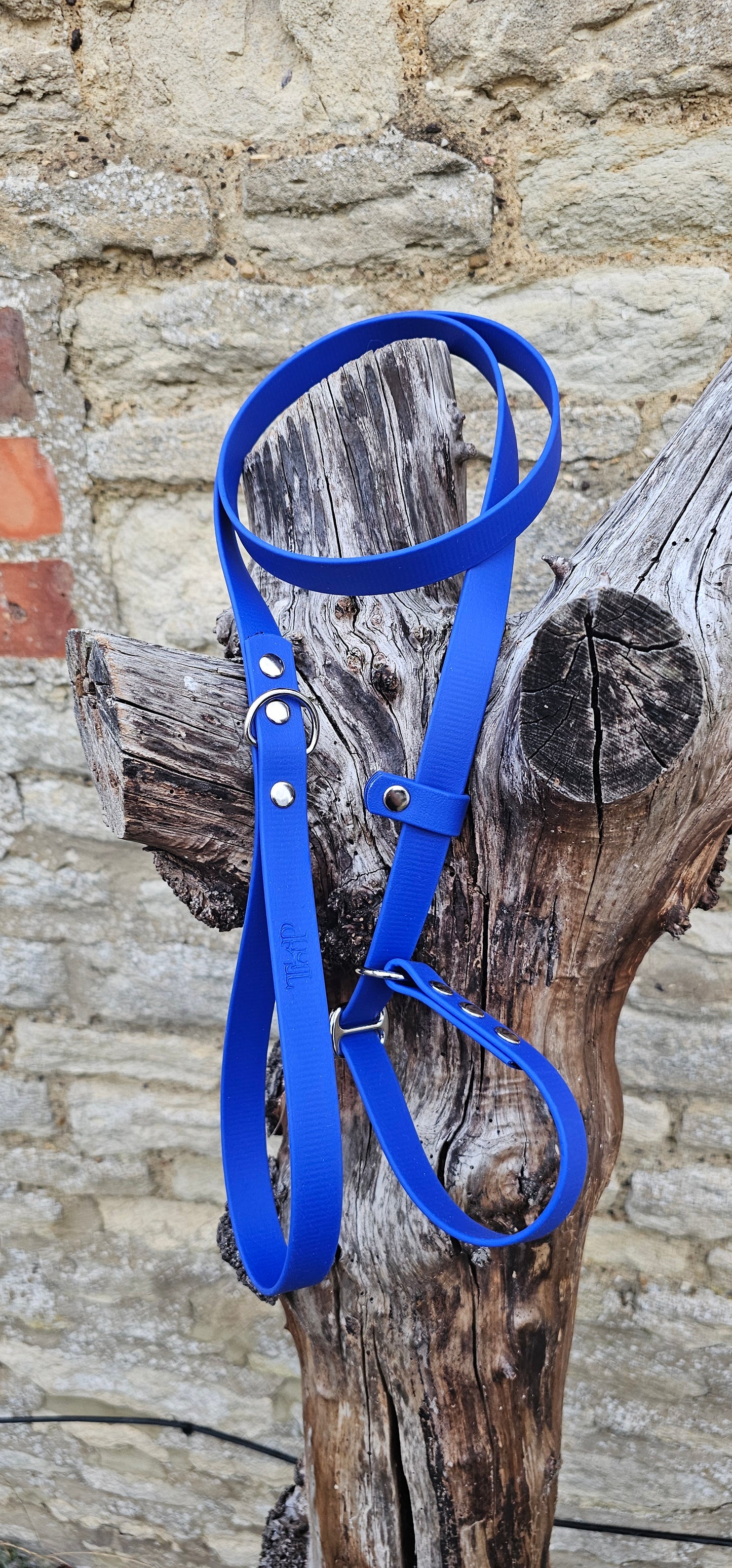 Royal Blue - Waterproof BioThane® Dog Slip Lead