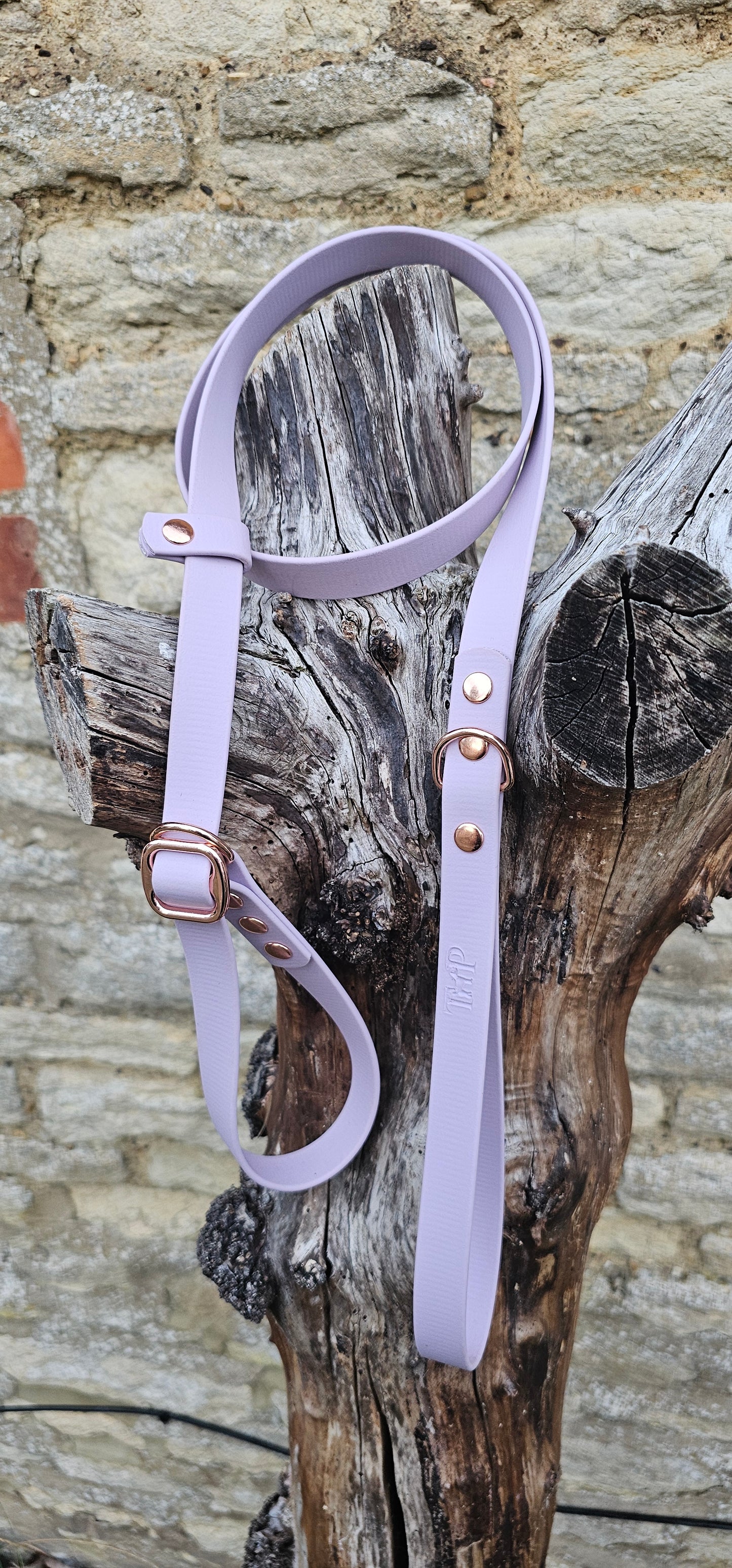 Lilac - Waterproof BioThane® Dog Slip Lead