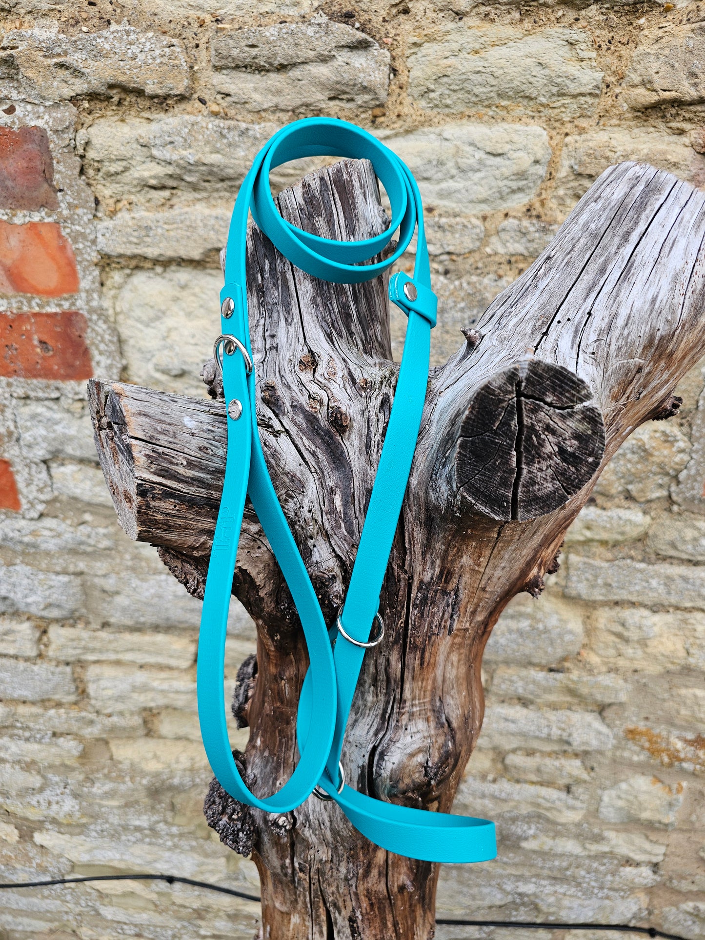 Teal - Waterproof BioThane© Figure8 Dog Lead