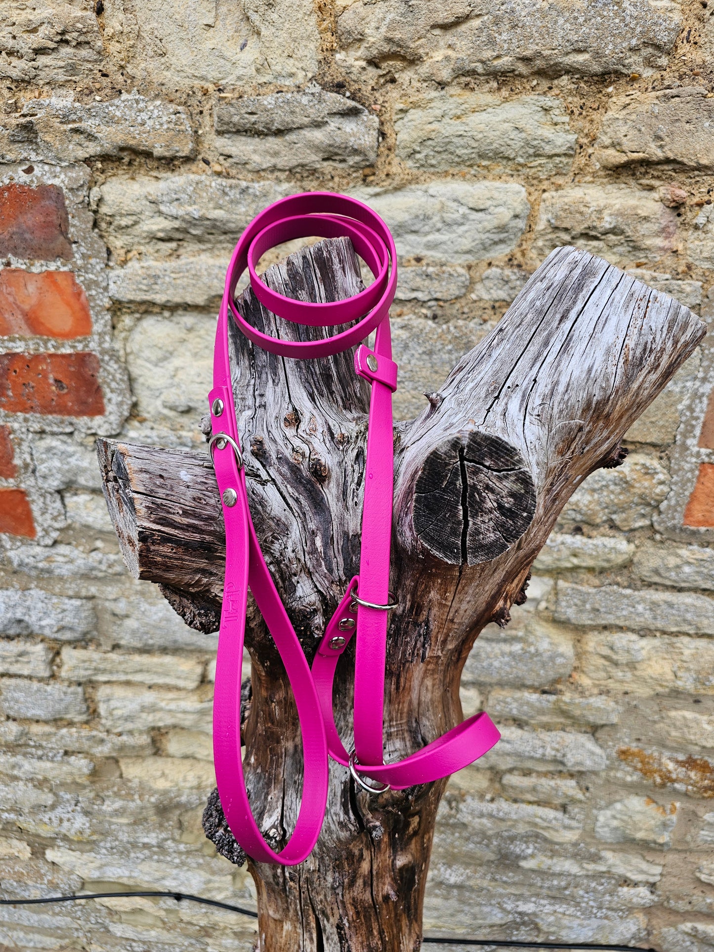 Magenta - Waterproof BioThane© Figure8 Dog Lead