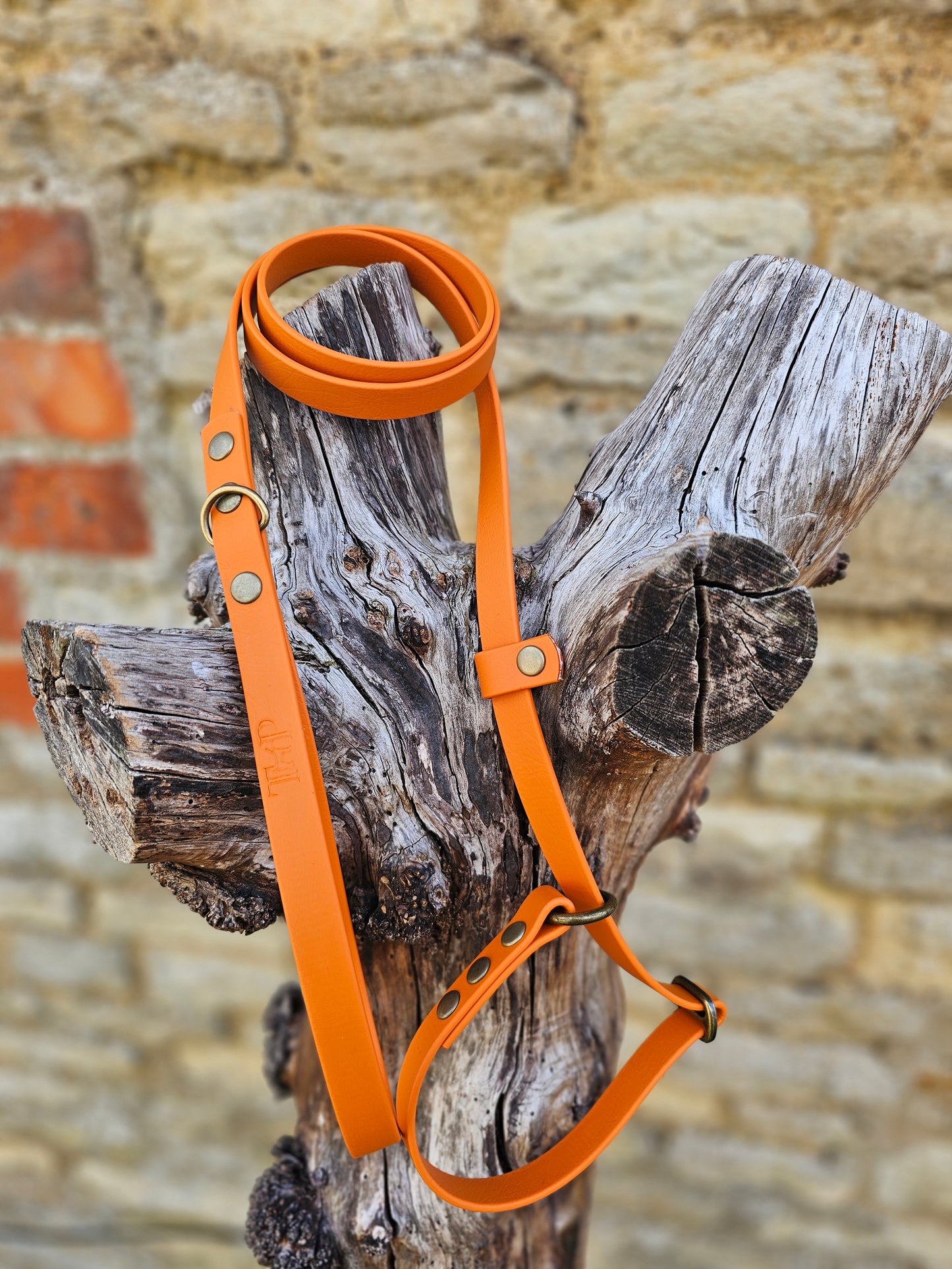 Burnt Orange - Waterproof BioThane® Dog Slip Lead