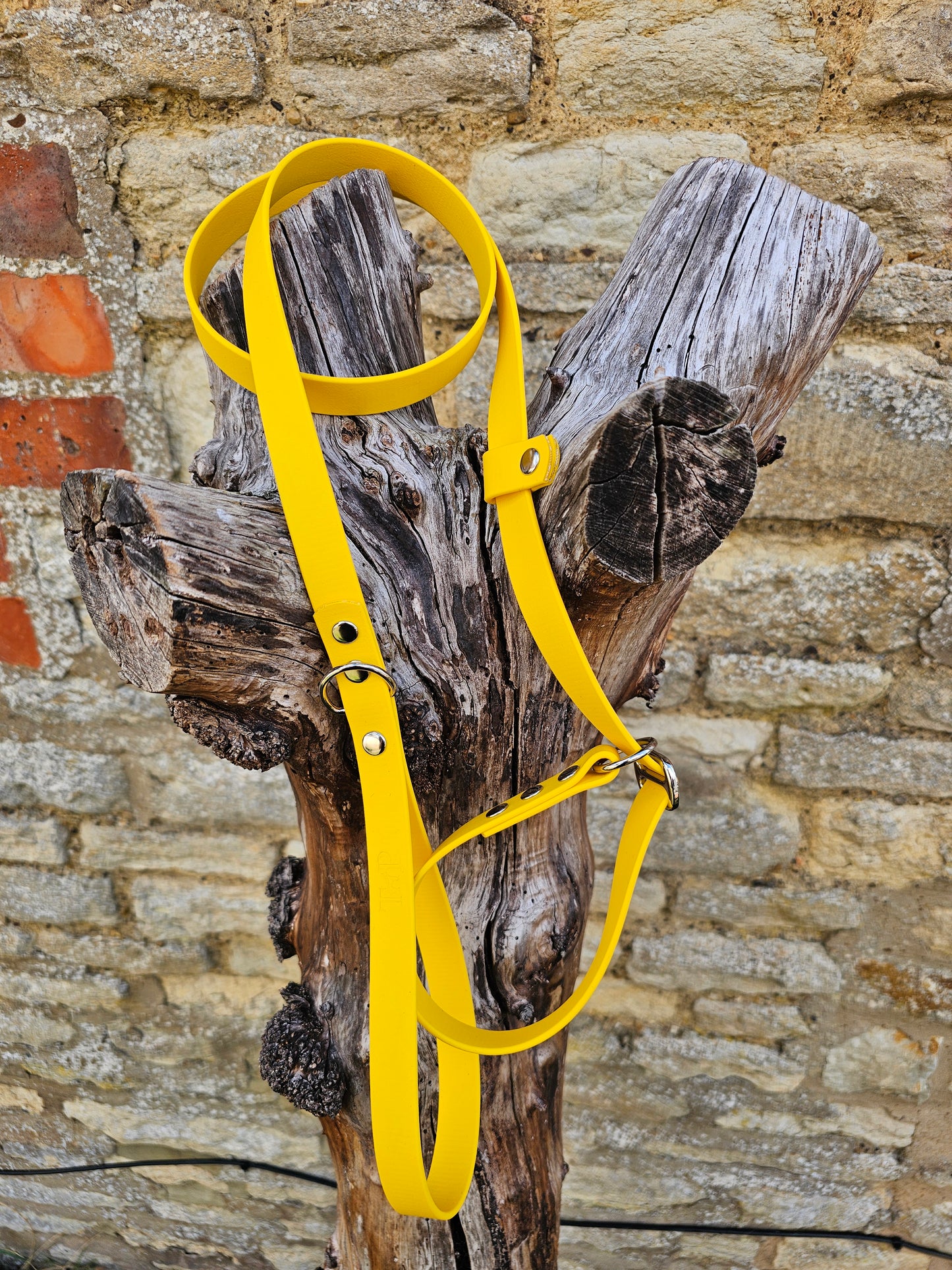 Yellow - Waterproof BioThane® Dog Slip Lead