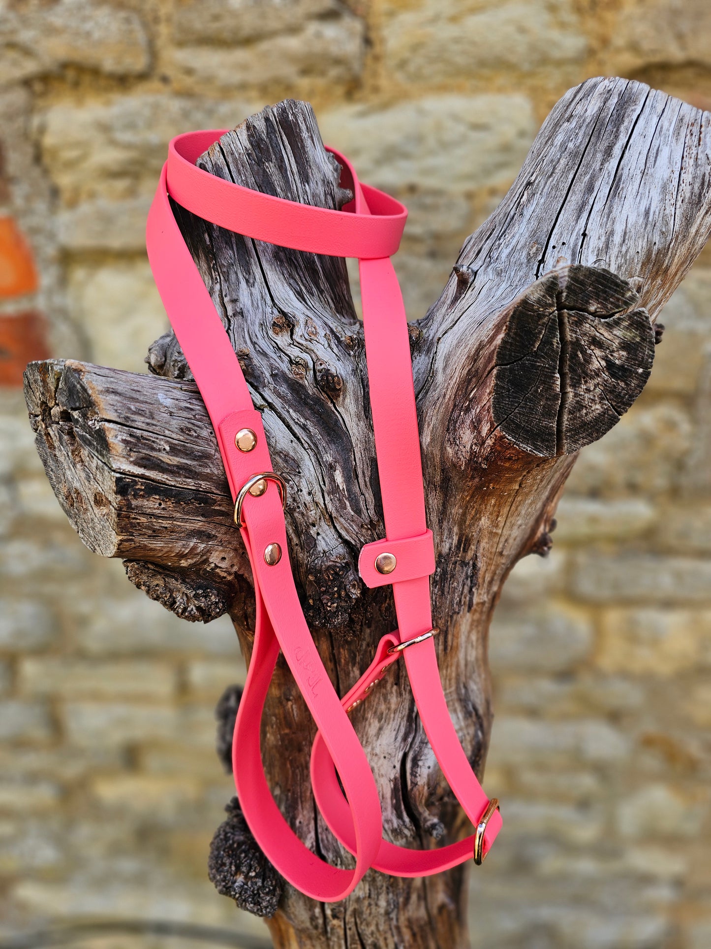Coral - Waterproof BioThane® Dog Slip Lead