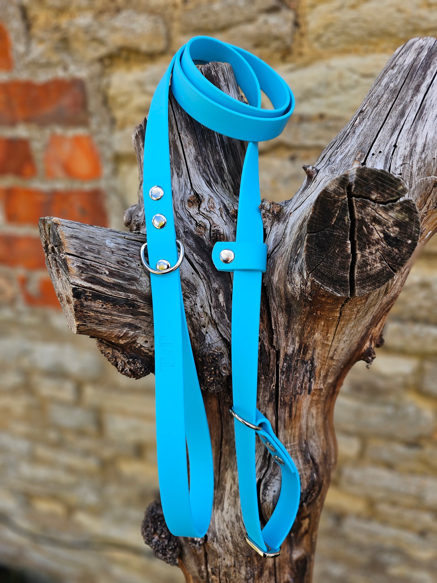 Neon Blue - Waterproof BioThane® Dog Slip Lead