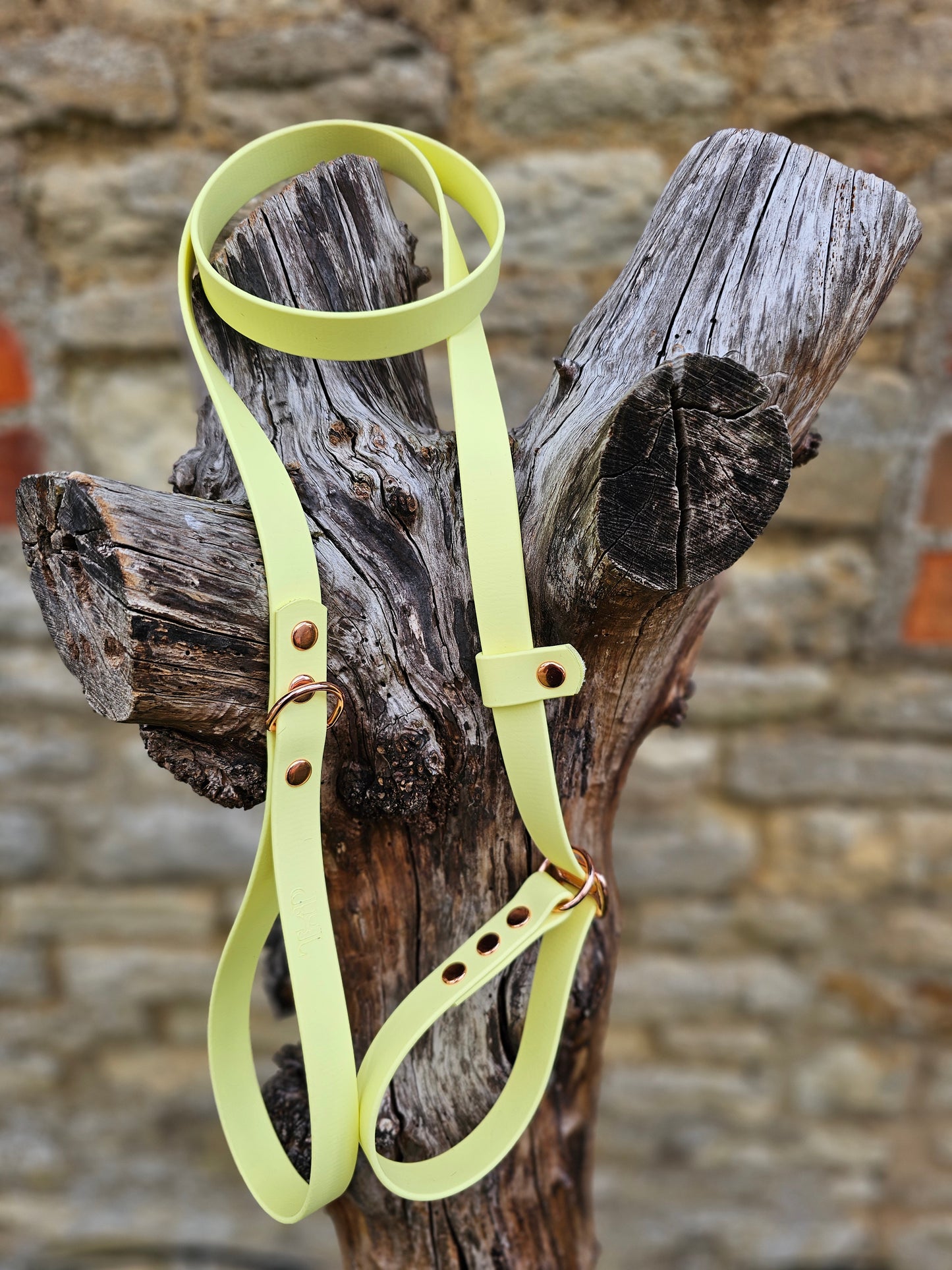 Lemon - Waterproof BioThane® Dog Slip Lead