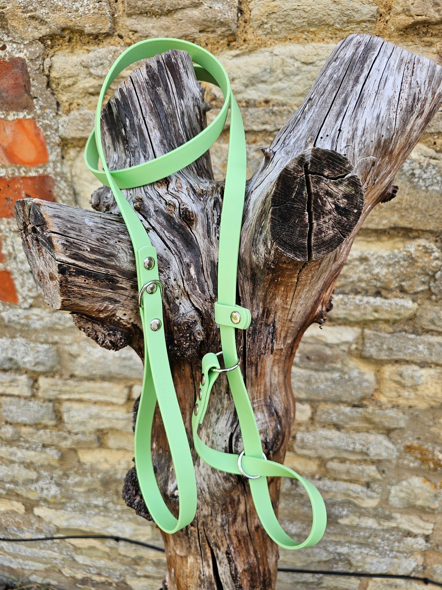 Pistachio - Waterproof BioThane© Figure8 Dog Lead