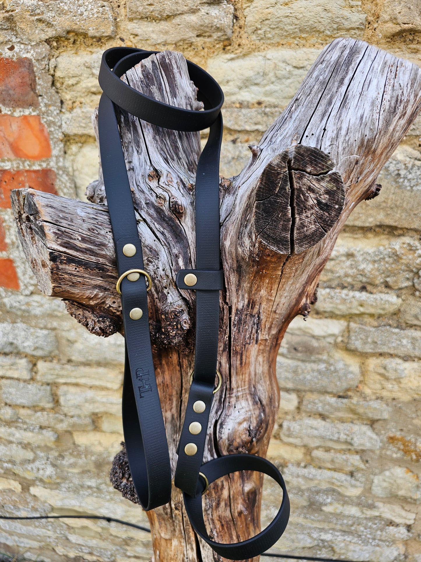 Black - Waterproof BioThane© Figure8 Dog Lead