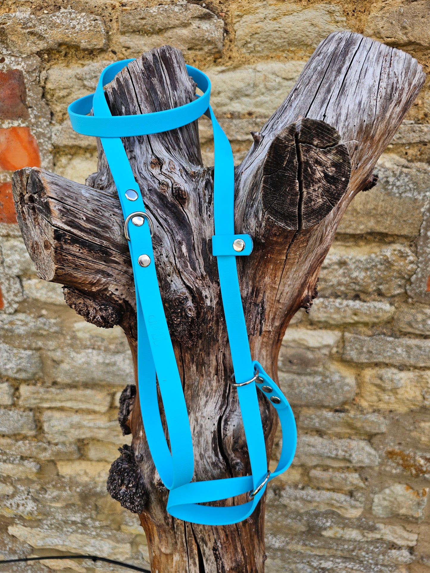 Neon Blue - Waterproof BioThane© Figure8 Dog Lead