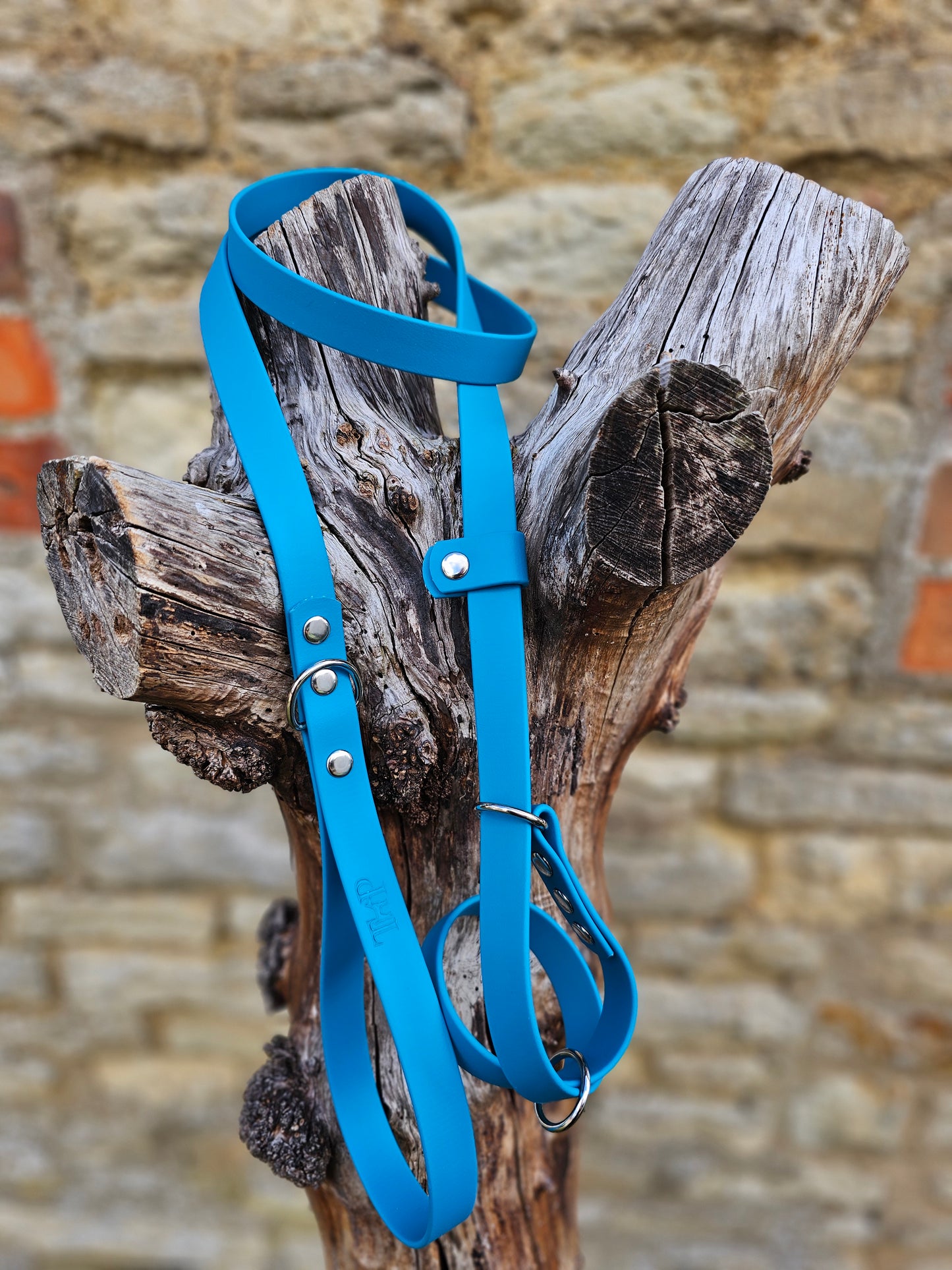 Blue - Waterproof BioThane© Figure8 Dog Lead