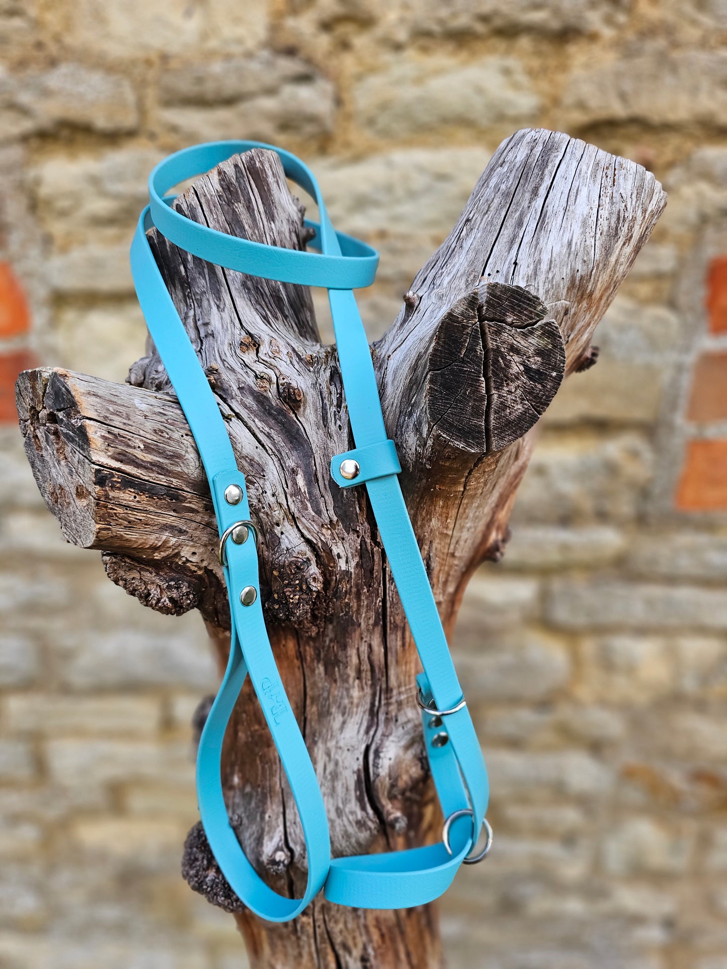 Duckegg - Waterproof BioThane© Figure8 Dog Lead