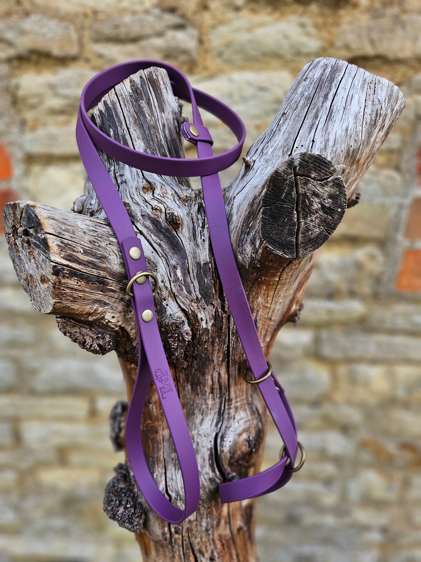 Aubergine - Waterproof BioThane© Figure8 Dog Lead