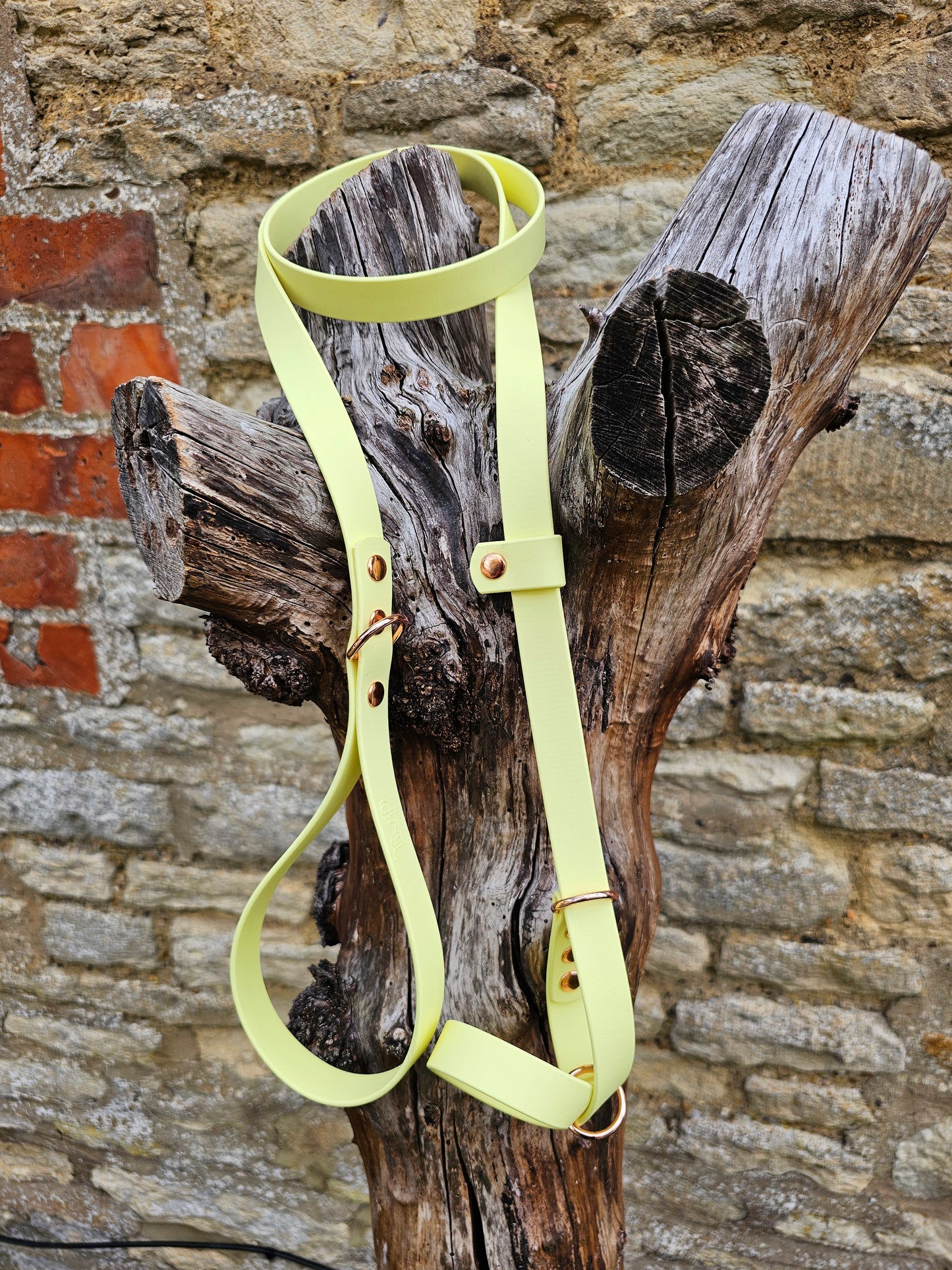 Lemon - Waterproof BioThane© Figure8 Dog Lead