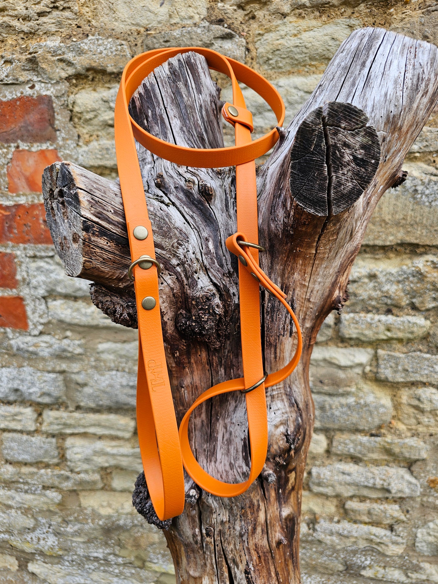 Burnt Orange - Waterproof BioThane© Figure8 Dog Lead