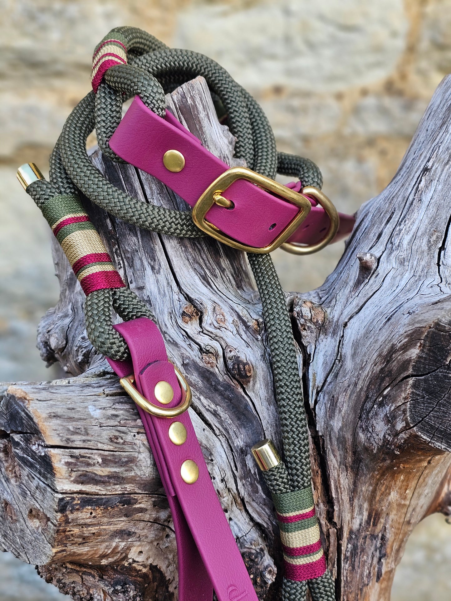 Winchester - Premium Rope Dog Lead