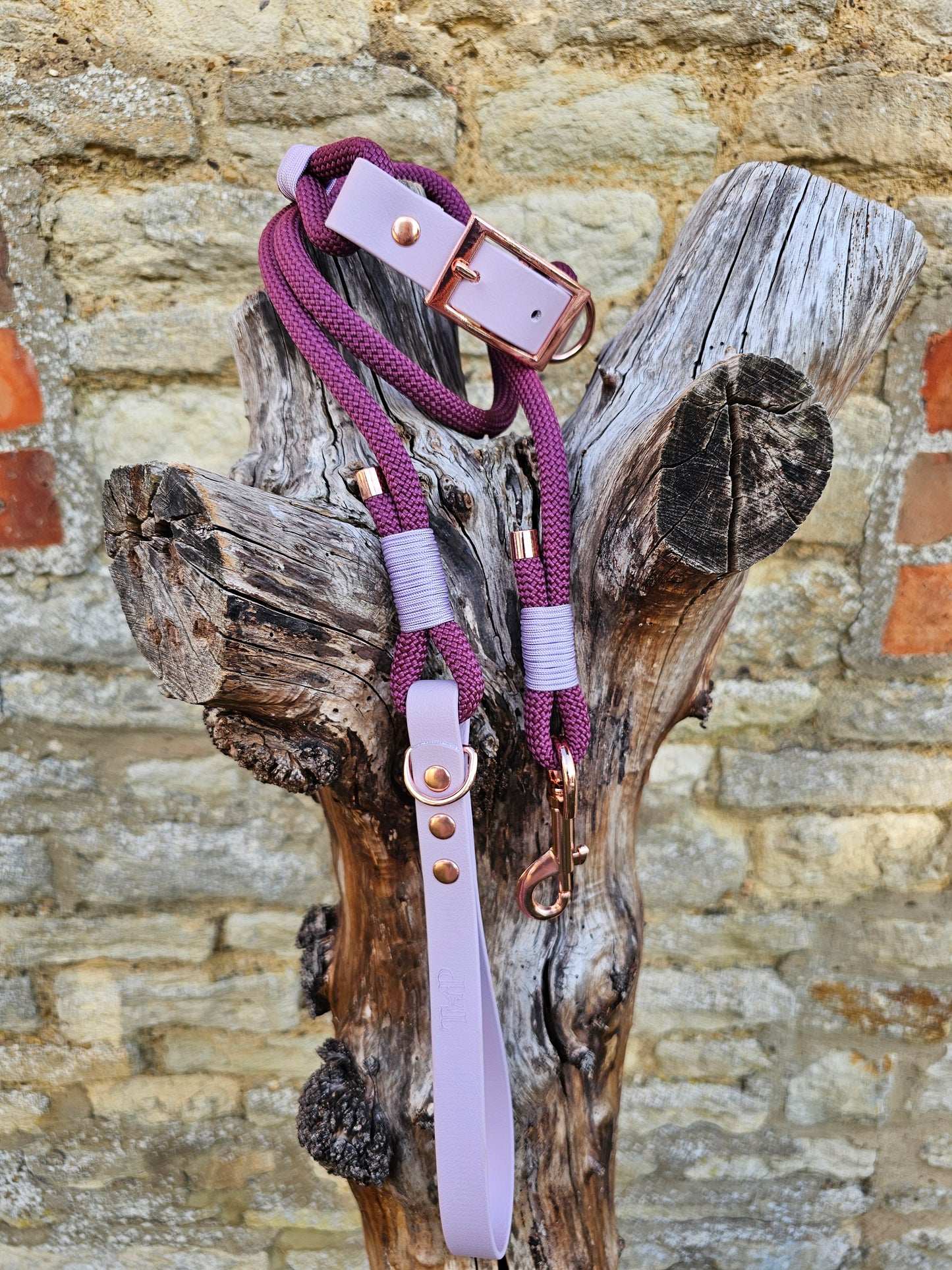 Aubergine & Lilac - Classic Rope Dog Lead