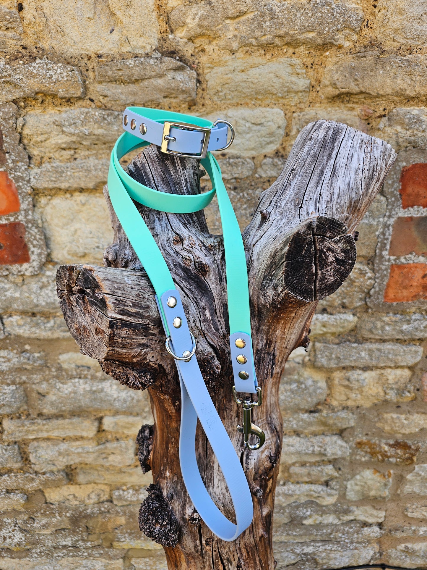 Mint & Baby Blue - Waterproof BioThane© Dog Lead