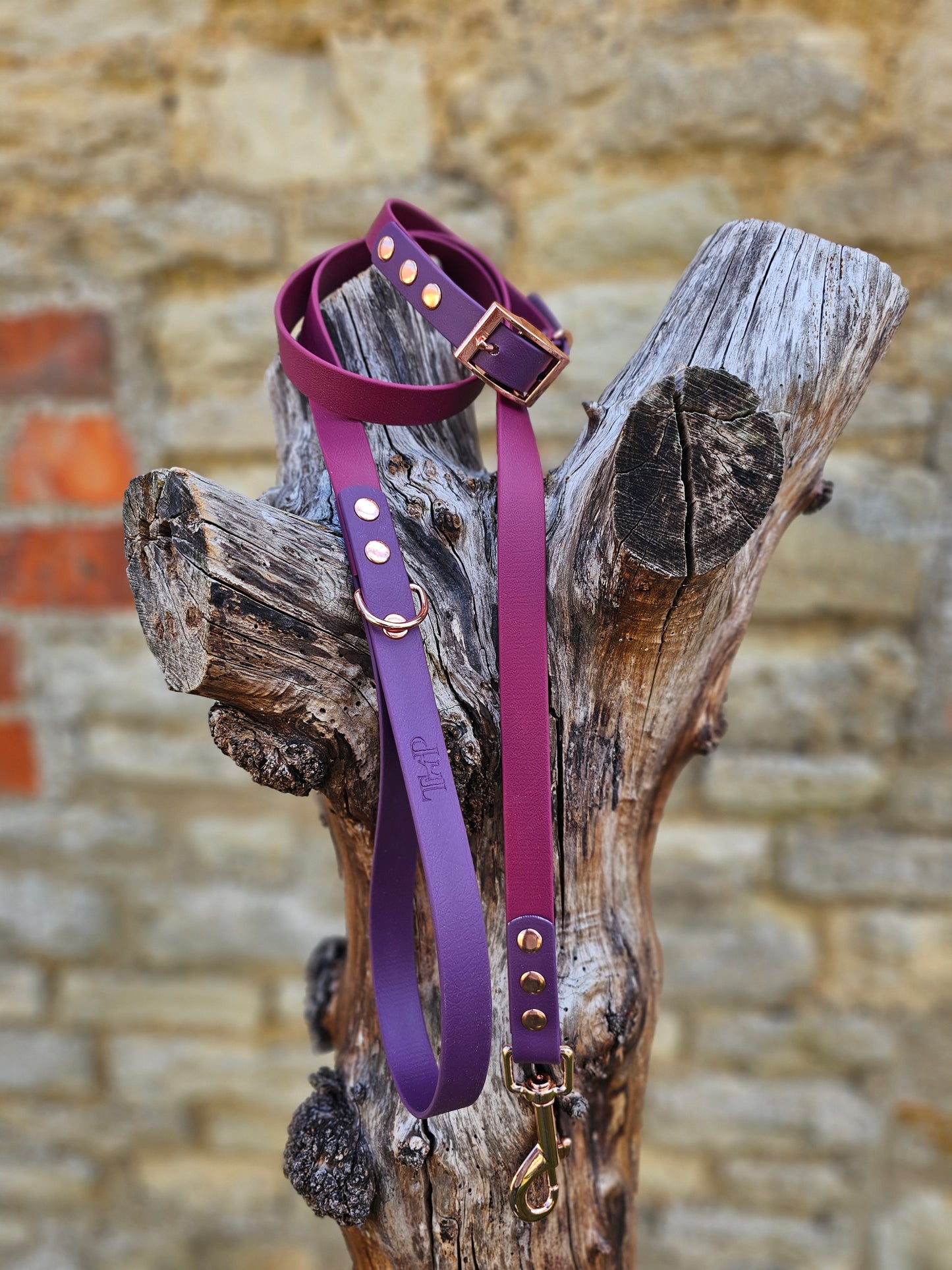 Burgundy & Aubergine - Waterproof BioThane© Dog Lead