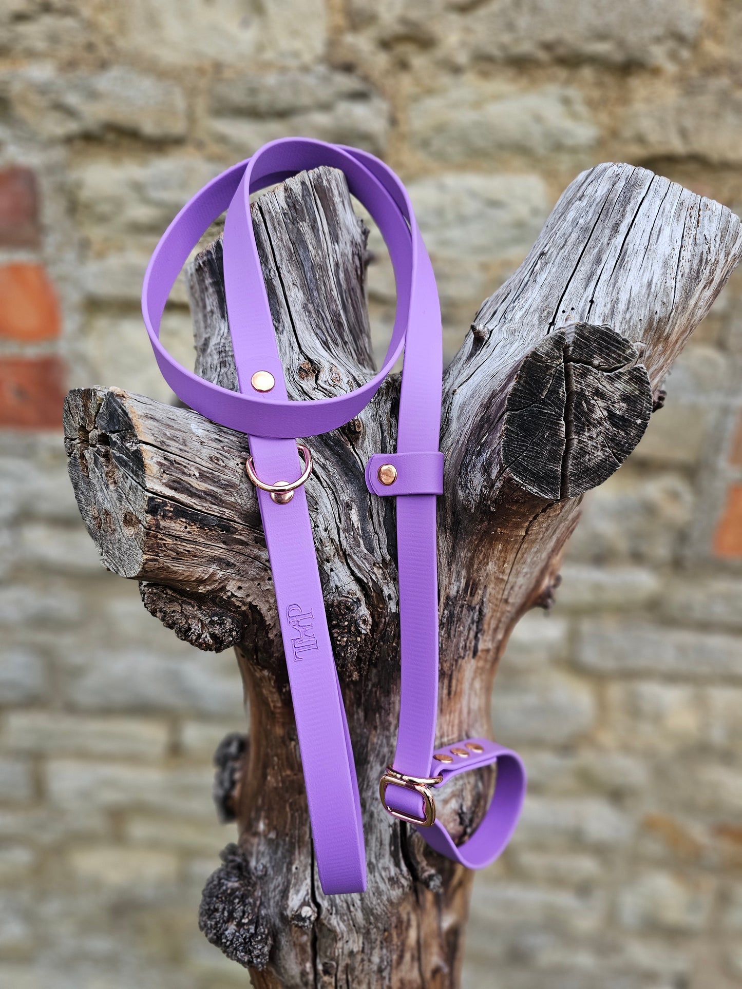 Amethyst - Waterproof BioThane® Dog Slip Lead