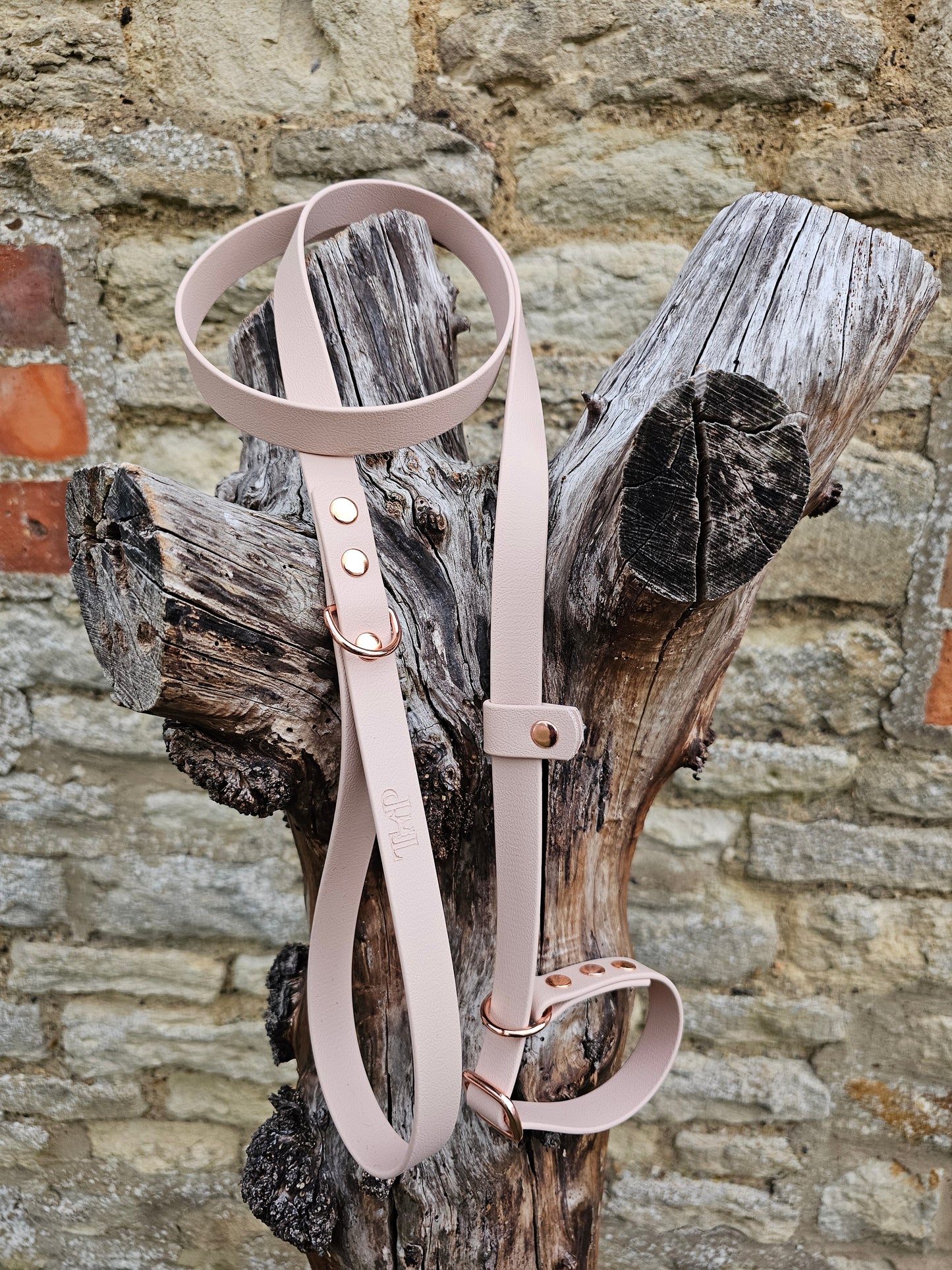 Powder Pearl - Waterproof BioThane® Dog Slip Lead