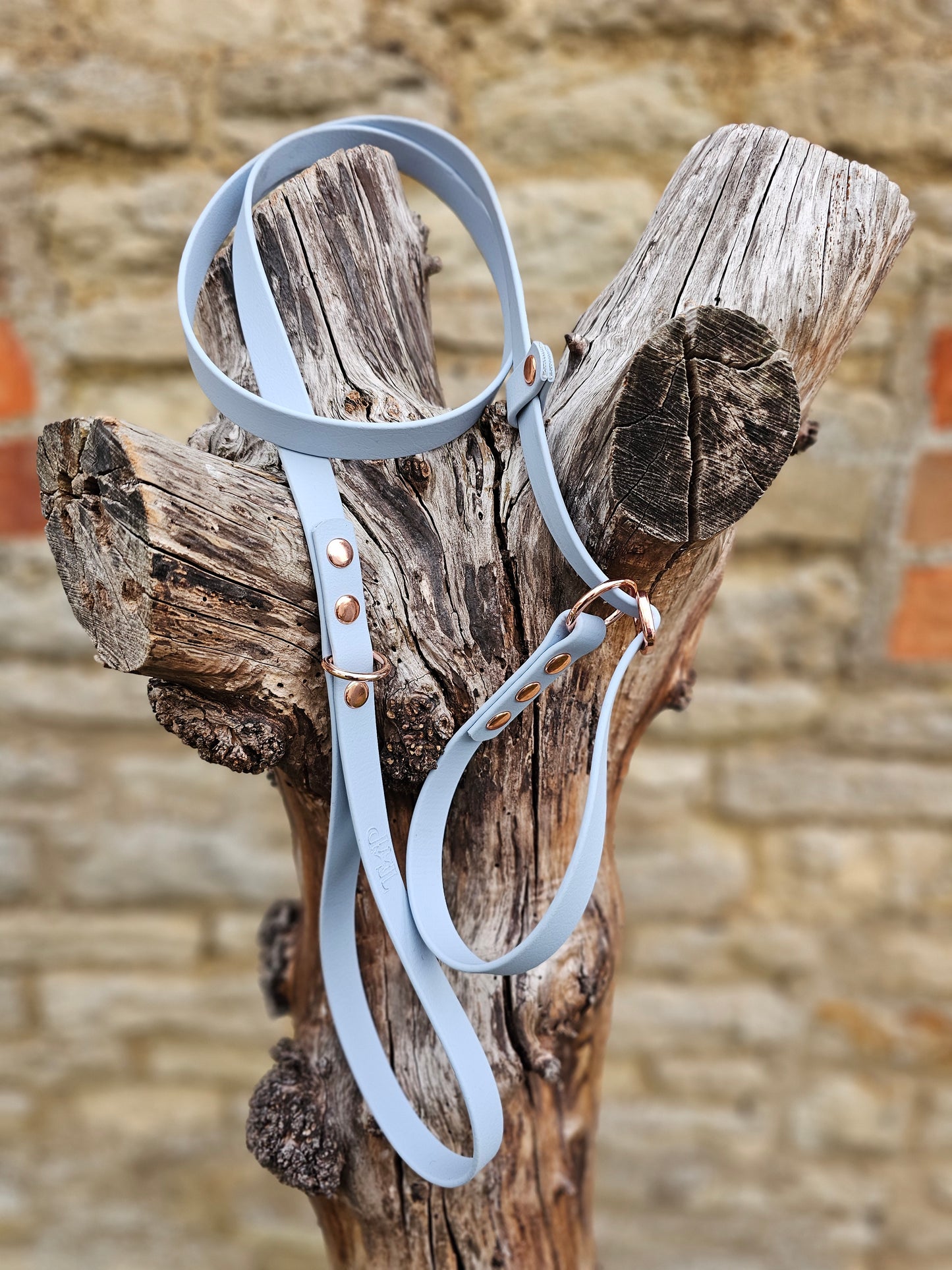 Baby Blue - Waterproof BioThane® Dog Slip Lead