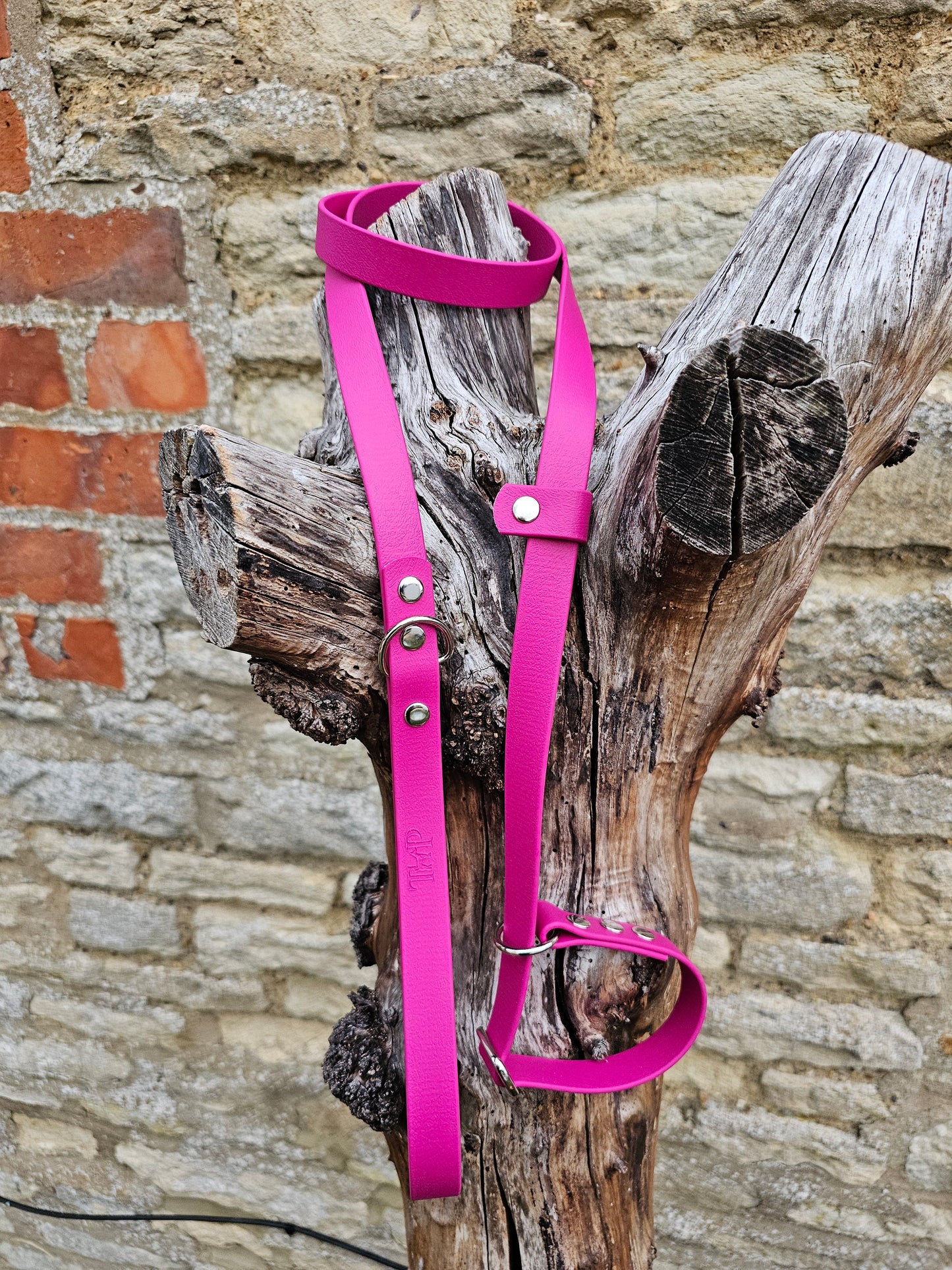 Magenta - Waterproof BioThane® Dog Slip Lead