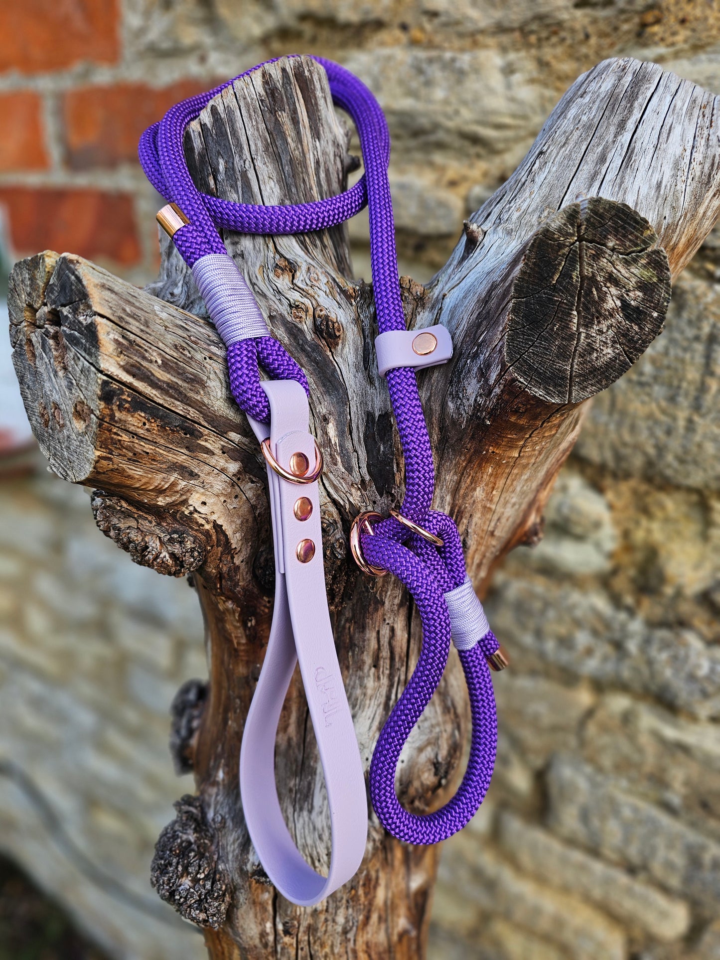 Purple & Lilac - Classic Rope Slip Lead / Figure 8 Dog Lead