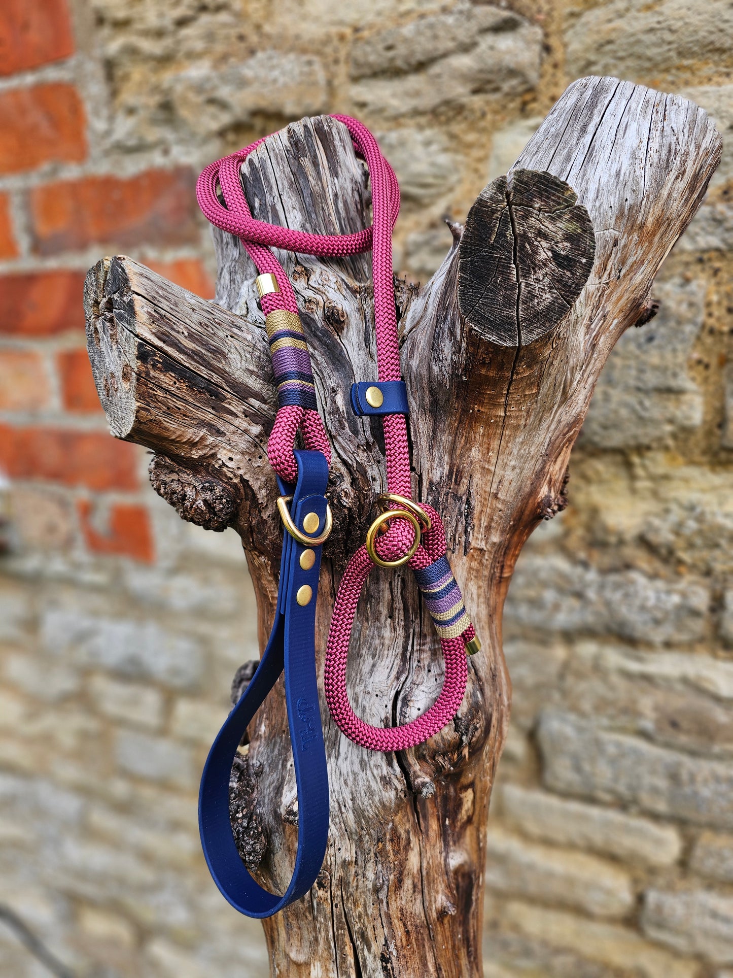 Oxford - Premium Rope Slip Lead / Figure 8 Dog Lead