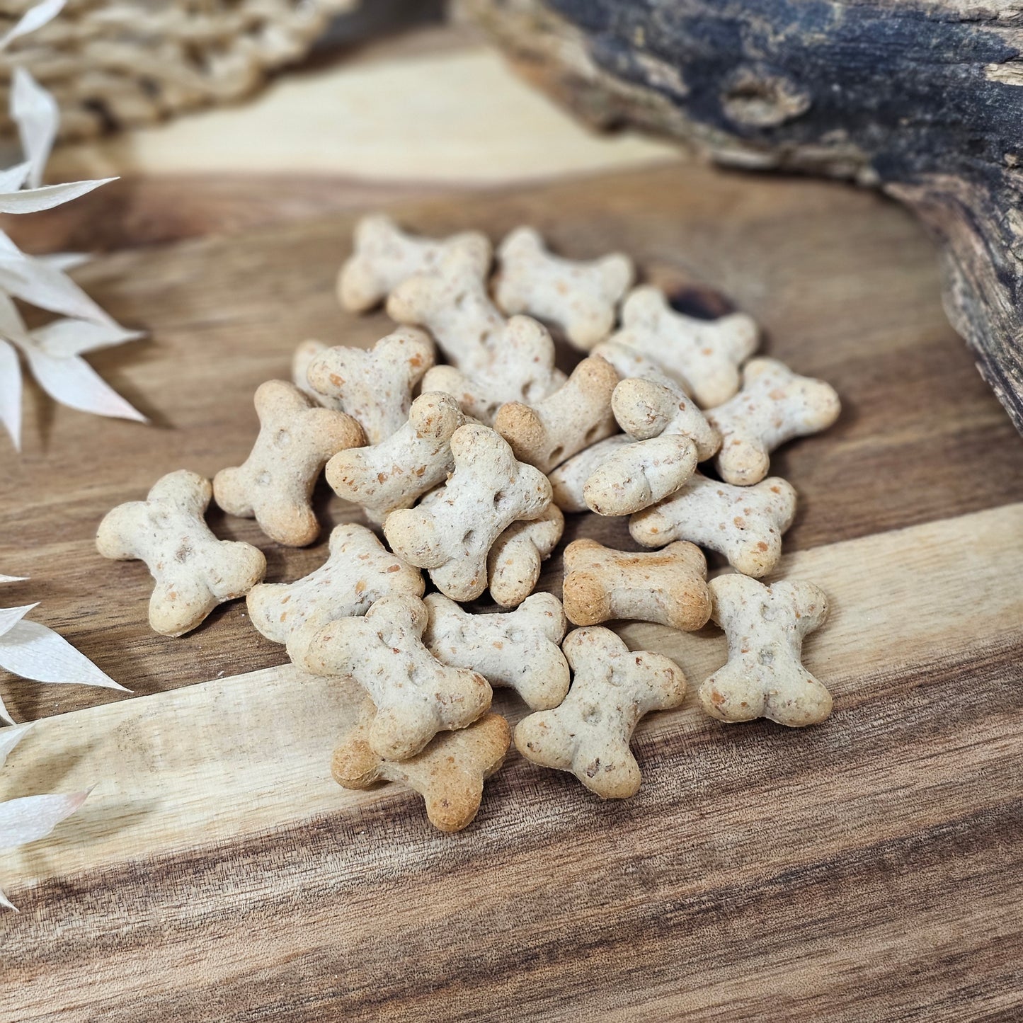 Cheesy Mini Bones Dog Biscuits