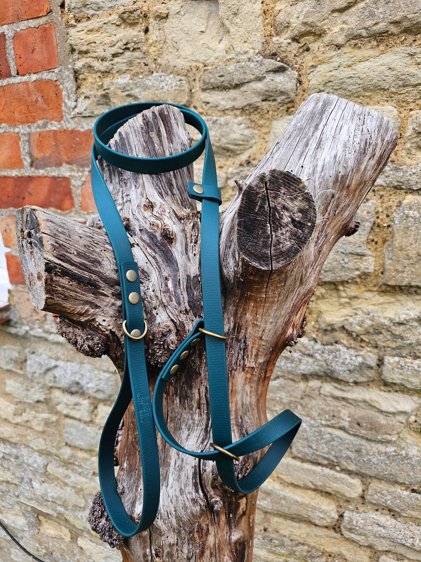 Dark Green - Waterproof BioThane© Figure8 Dog Lead