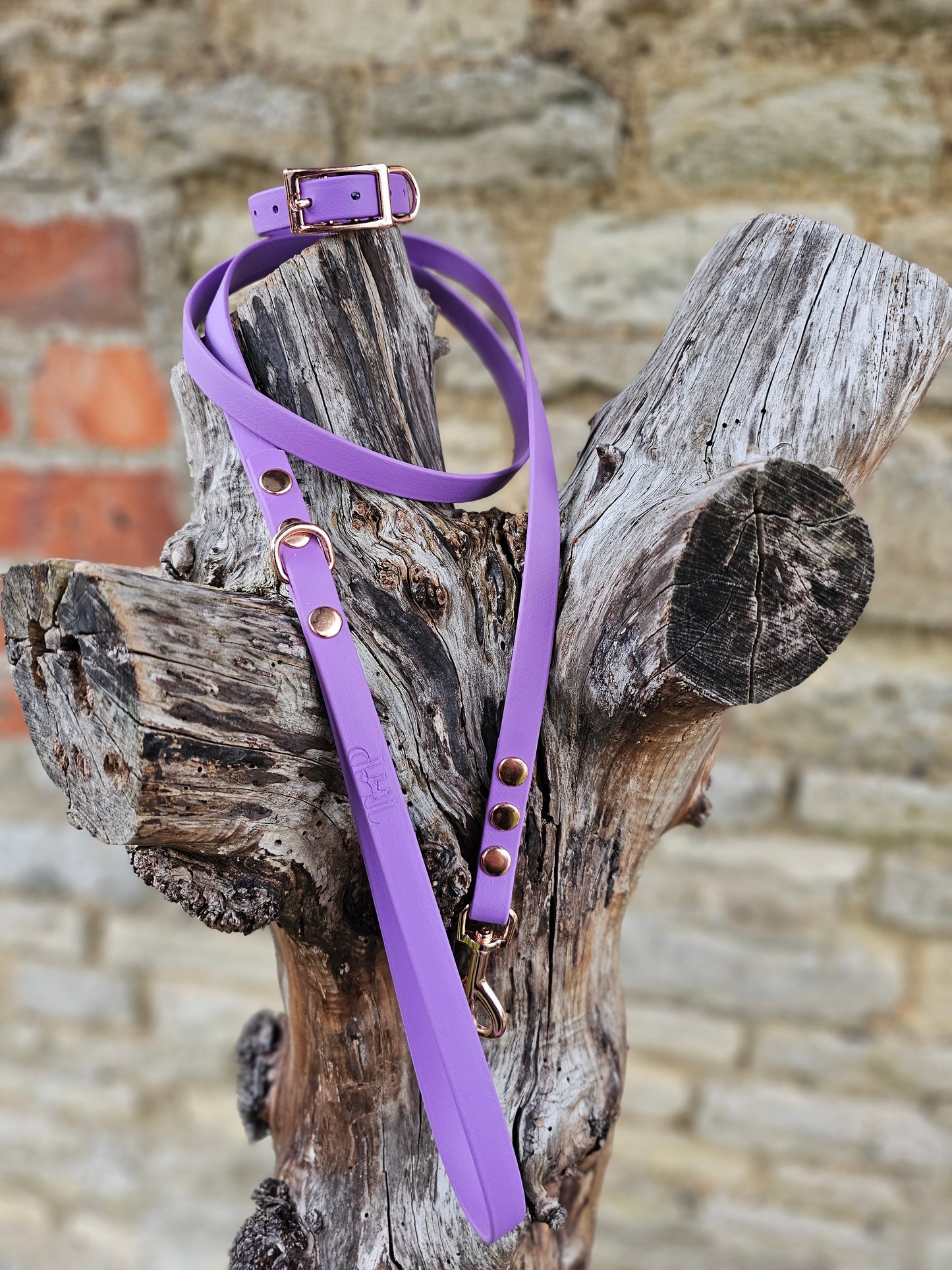 Amethyst - Waterproof BioThane© Dinky Dog Lead