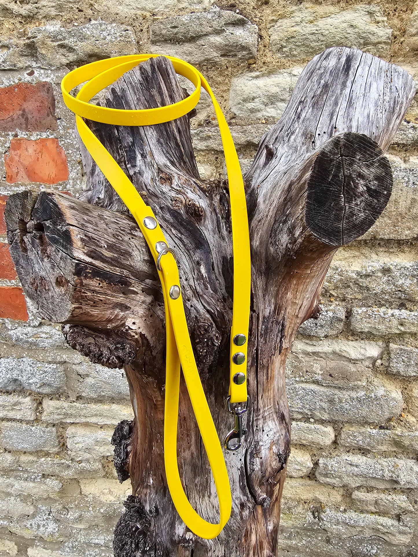Yellow - Waterproof BioThane© Dinky Dog Lead