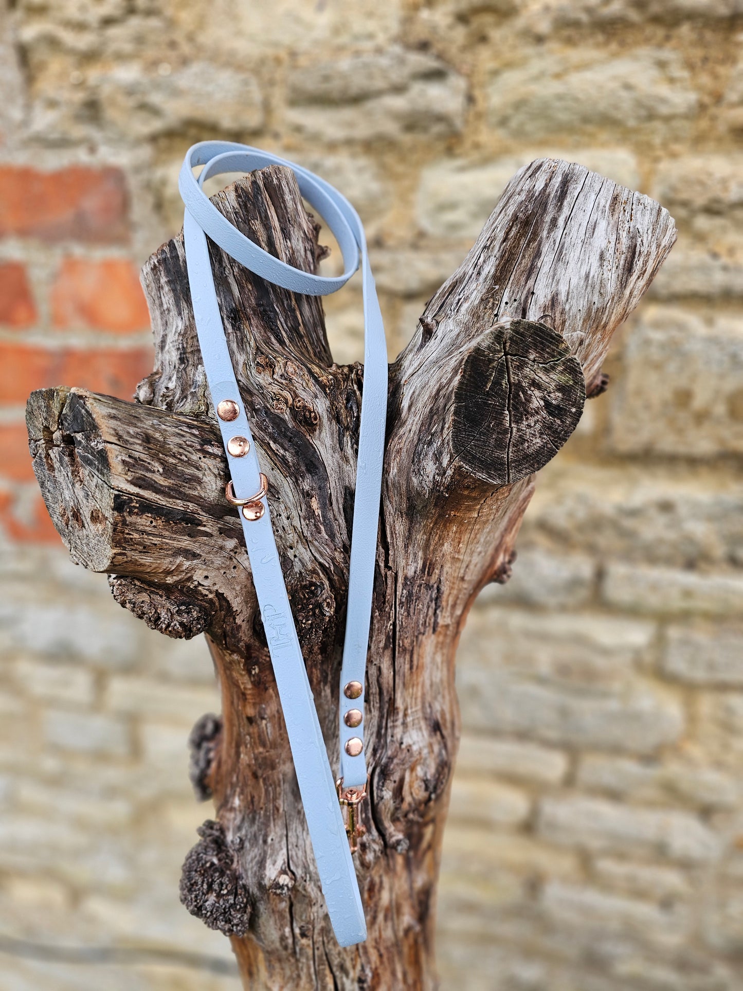Baby Blue - Waterproof BioThane© Dinky Dog Lead