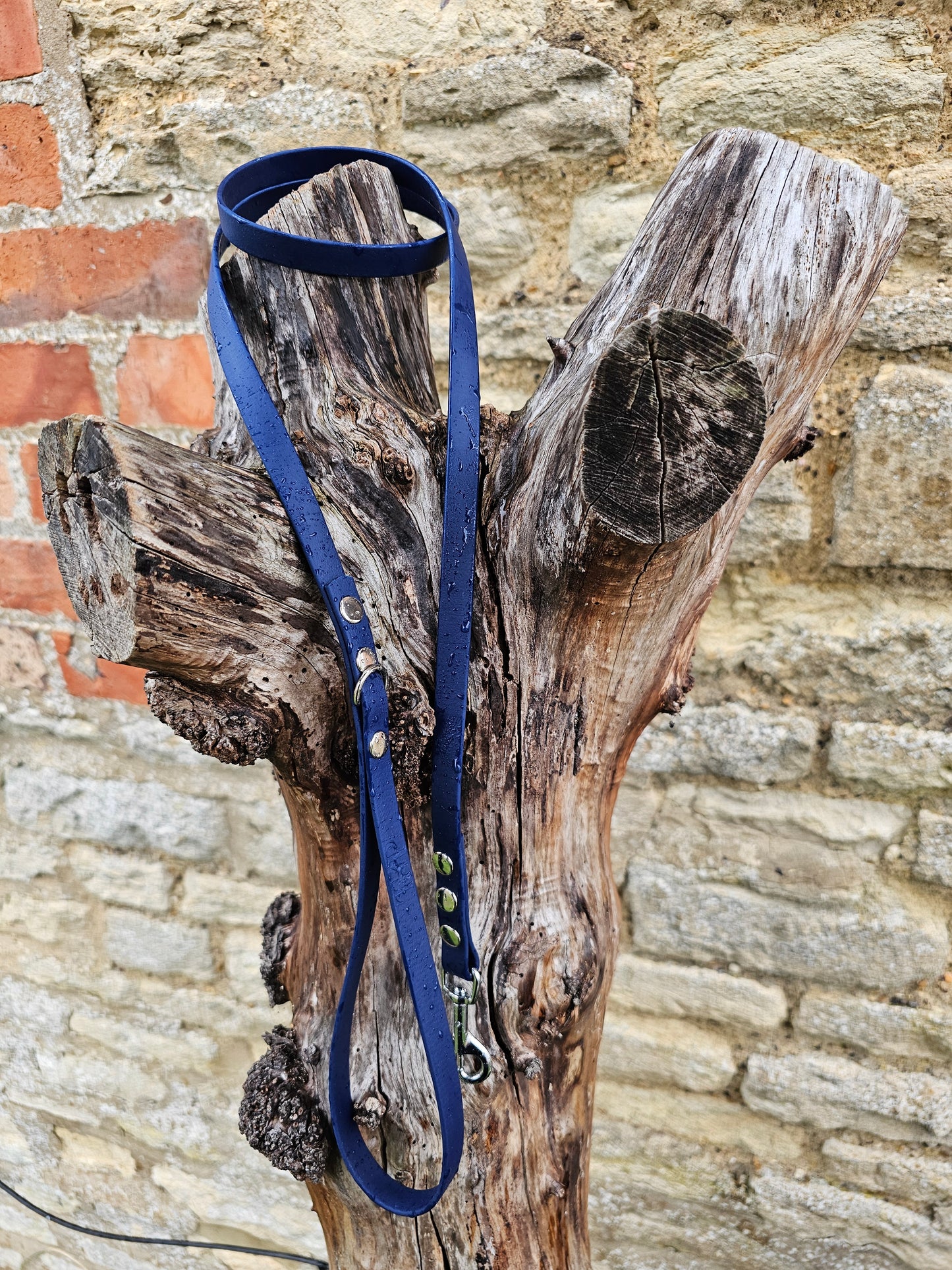 Navy - Waterproof BioThane© Dinky Dog Lead
