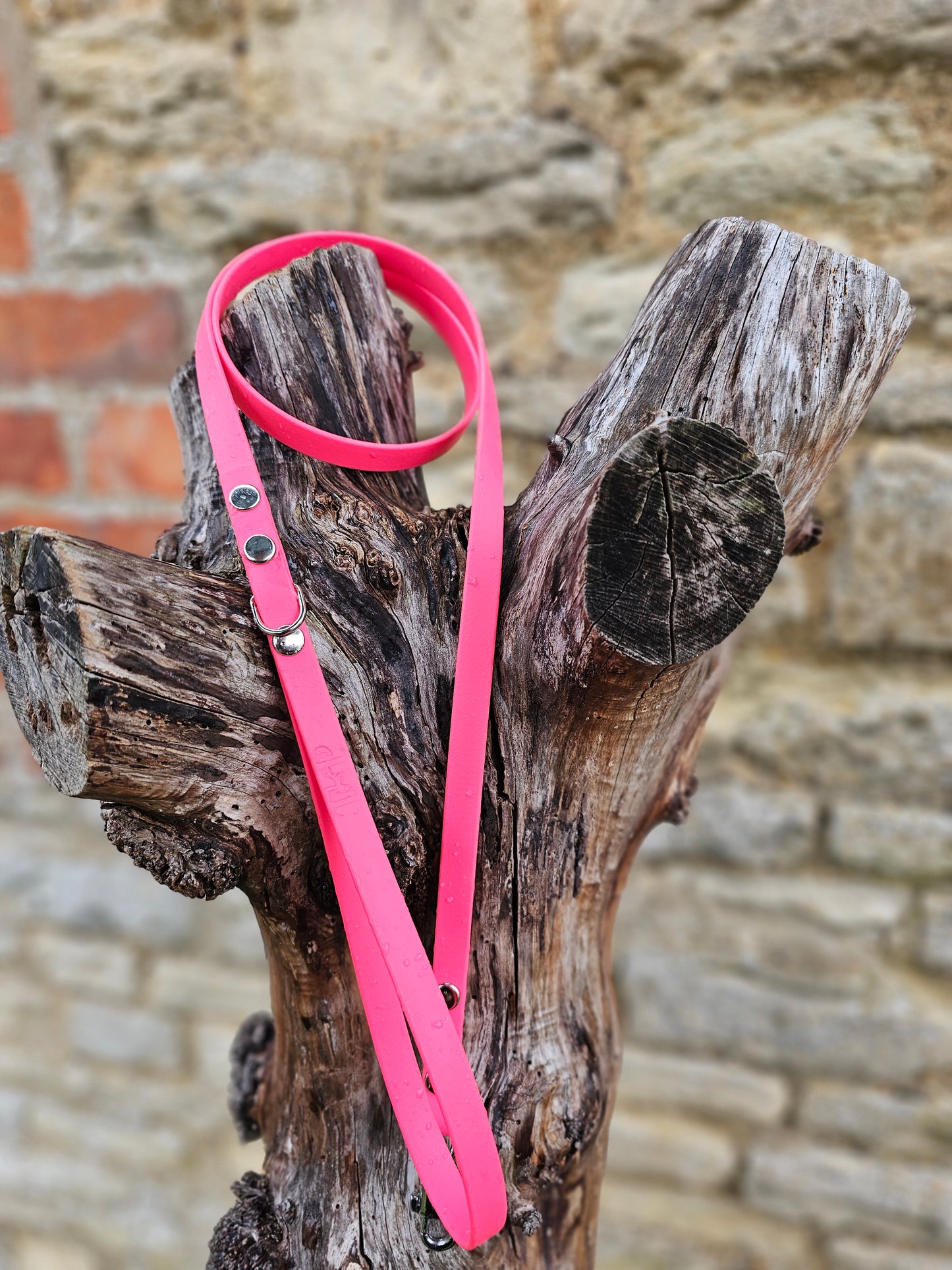 Neon Pink - Waterproof BioThane© Dinky Dog Lead