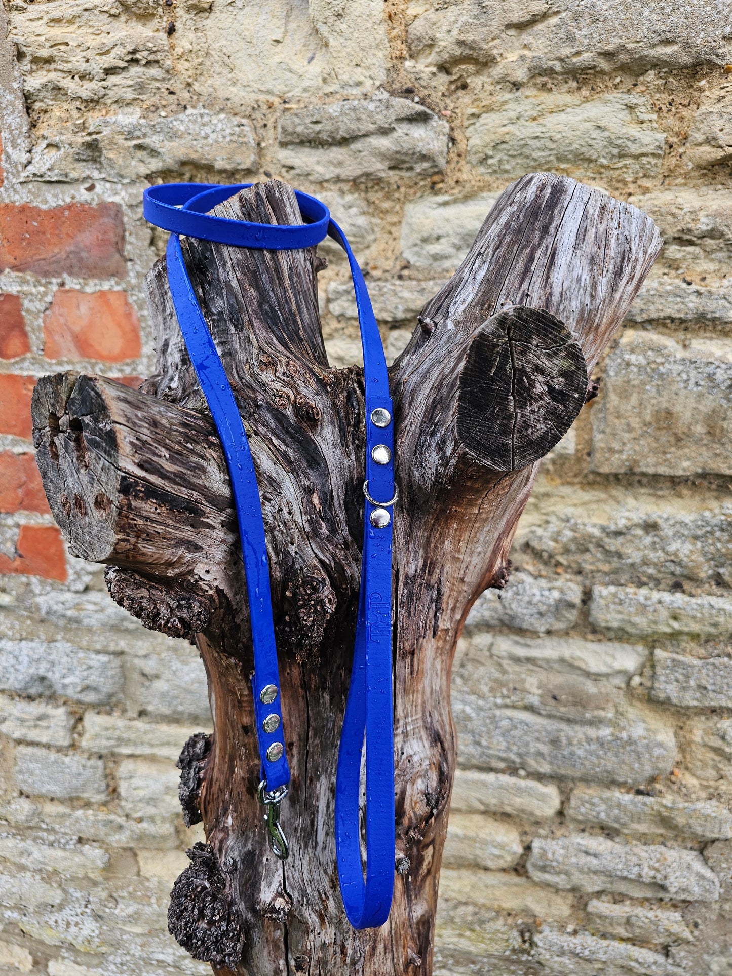 Royal Blue - Waterproof BioThane© Dinky Dog Lead