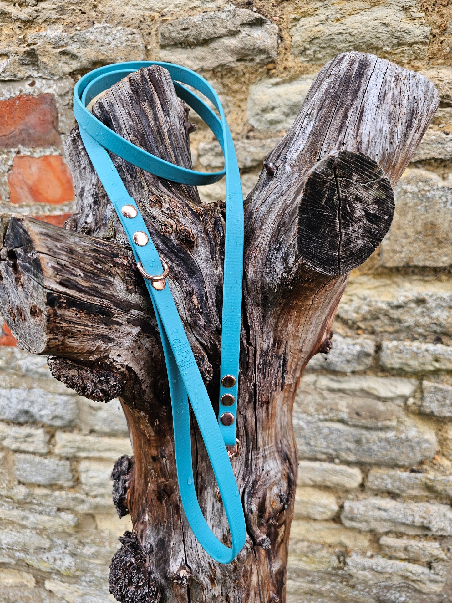 Duckegg - Waterproof BioThane© Dinky Dog Lead