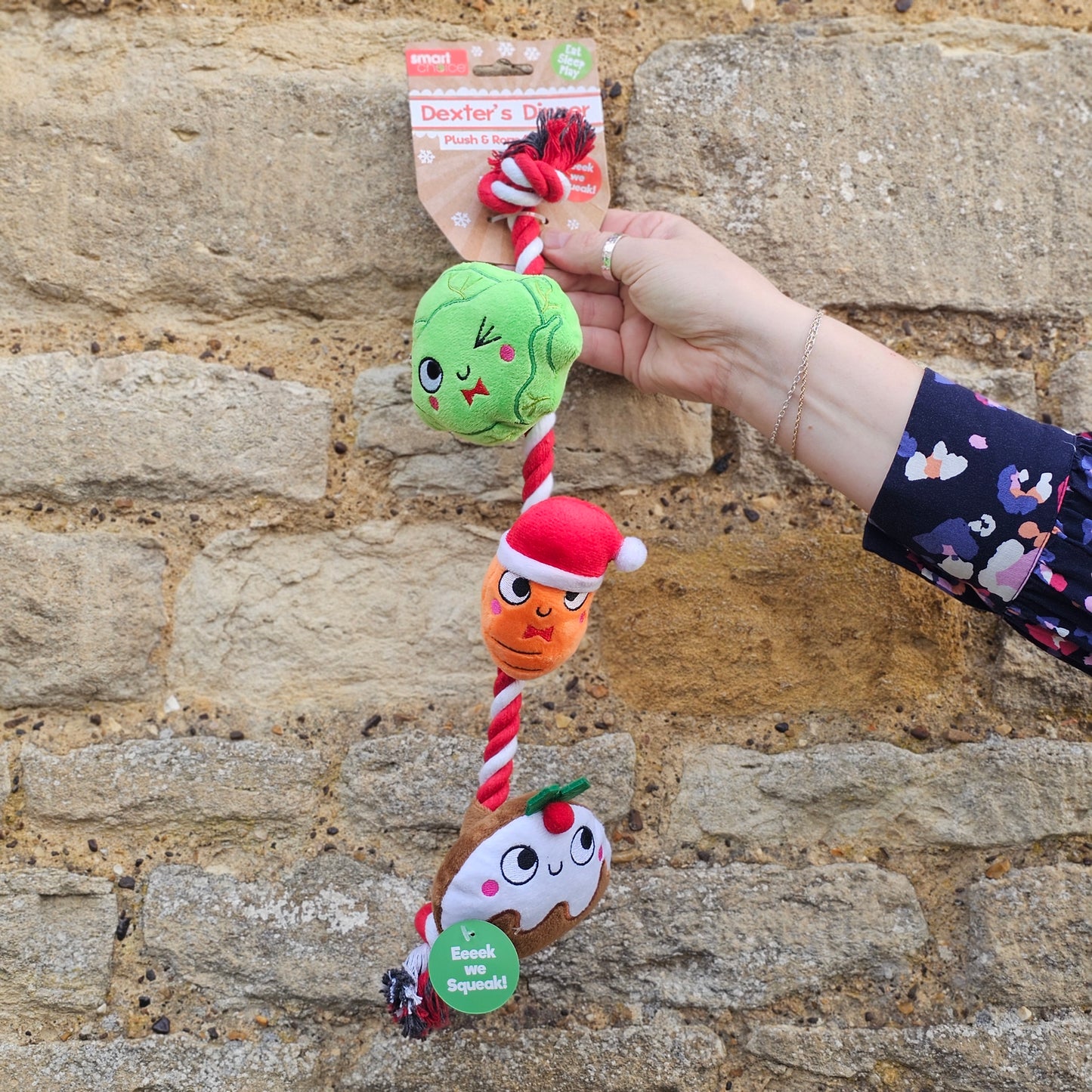 Christmas Dinner Rope Dog Toy