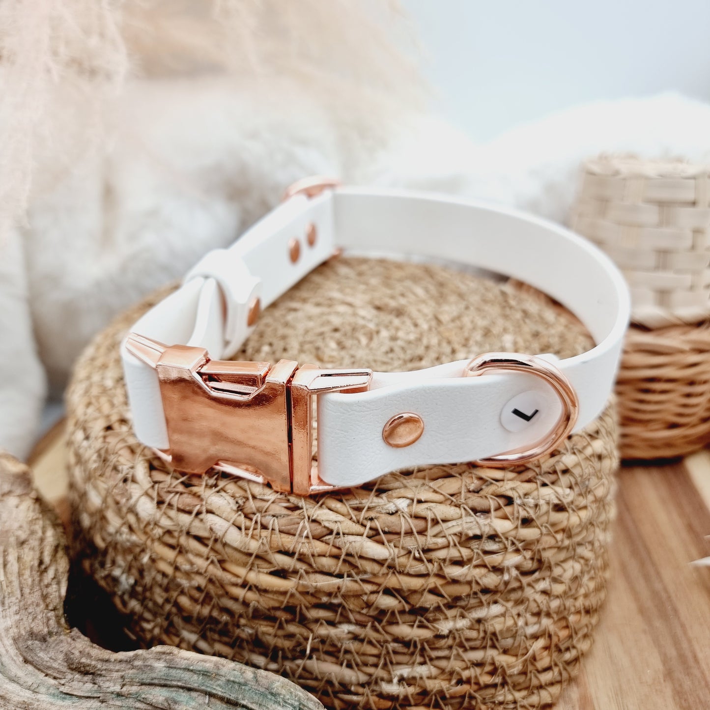 White (RG) - Biothane Fast Release Buckle Dog Collar