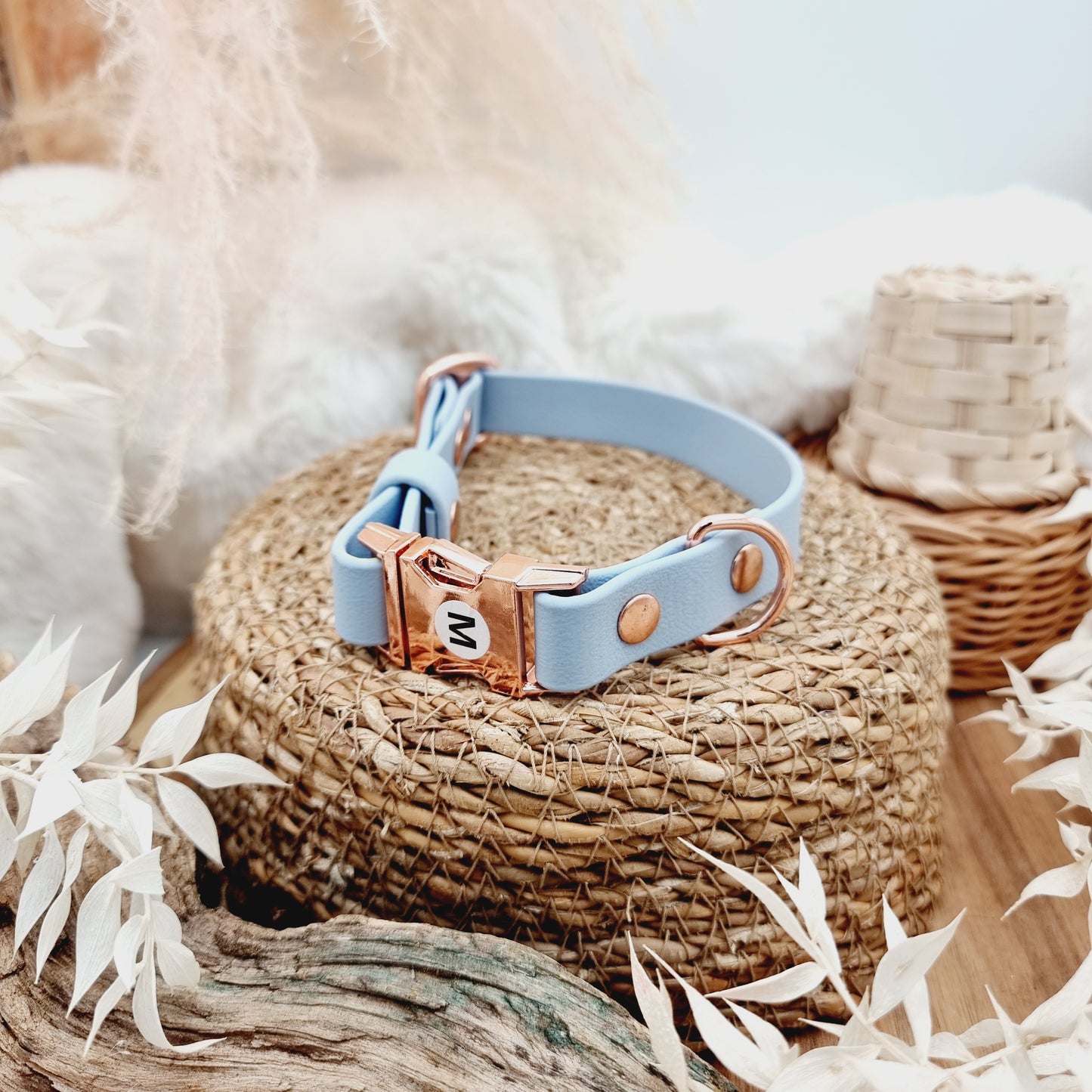 Baby Blue (RG) - Biothane Fast Release Buckle Dog Collar