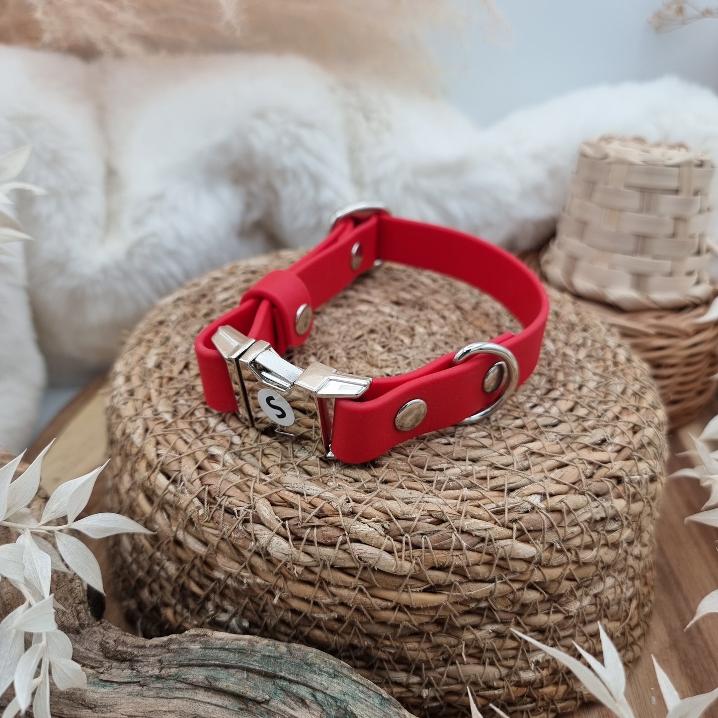 Red (SI)- Biothane Fast Release Buckle Dog Collar