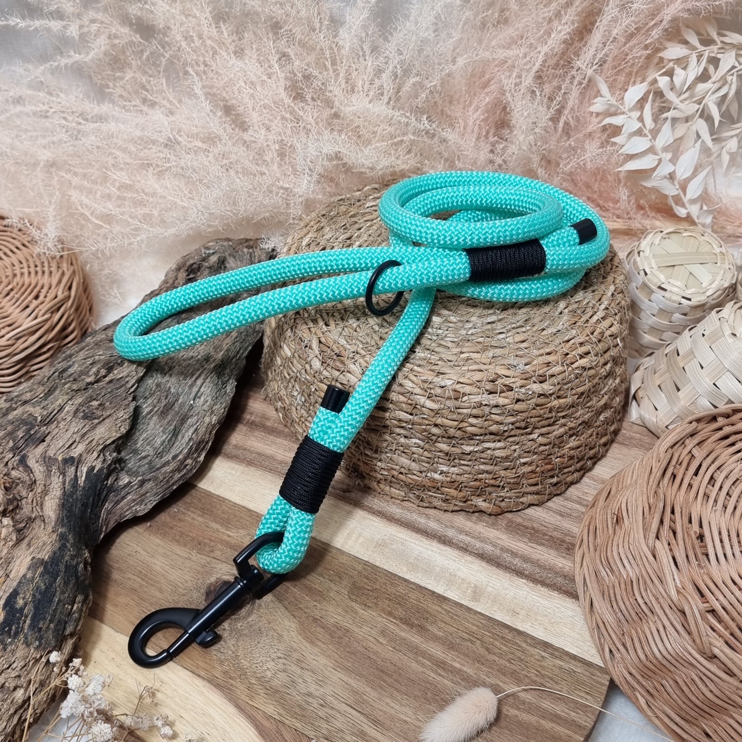 Mint / Black (BL) (120cm length) Rope Dog Lead
