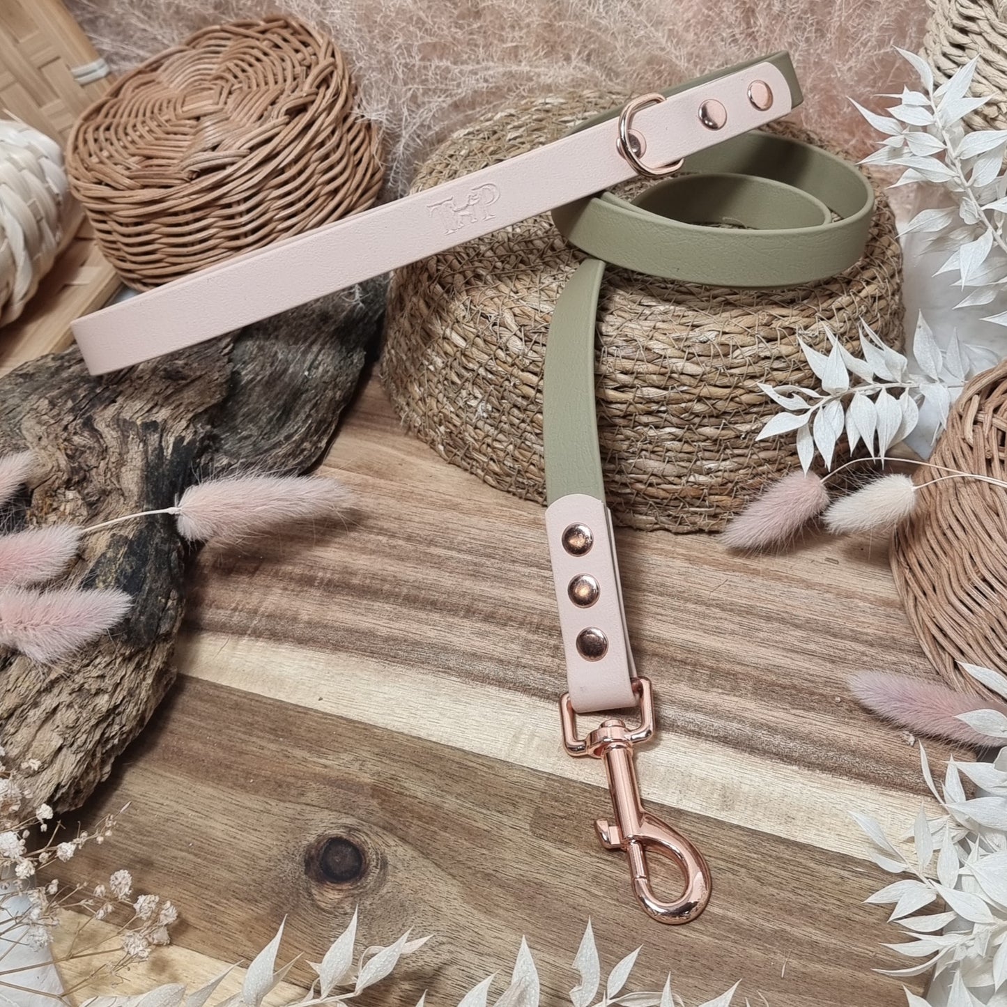 Clay & Powder Pearl RG - (120cm length / Regular) Biothane Dog Lead