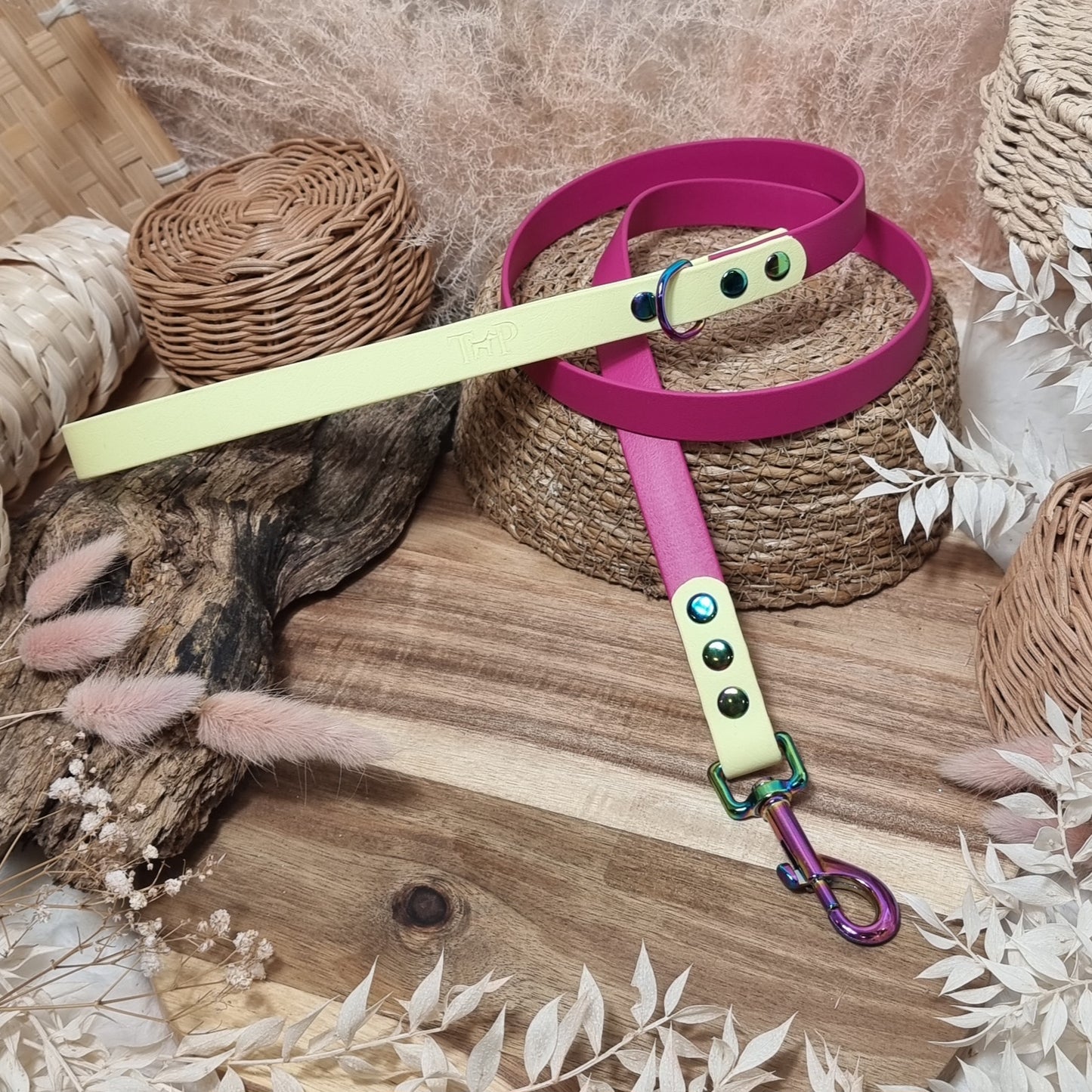 Magenta & Lemon - (120cm length / Regular) Biothane Dog Lead