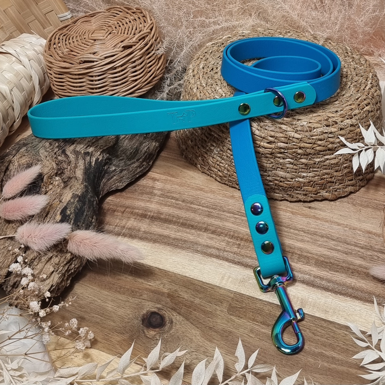 Lagune & Teal - (120cm length / Regular) Biothane Dog Lead